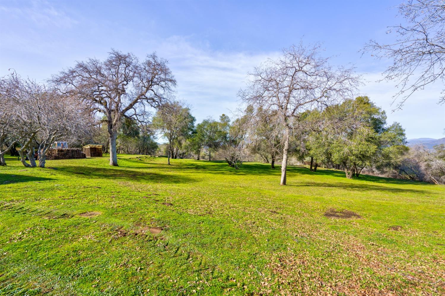 4359 Alamo Creek Road Mariposa, CA 95338 - Photo 51 of 61
