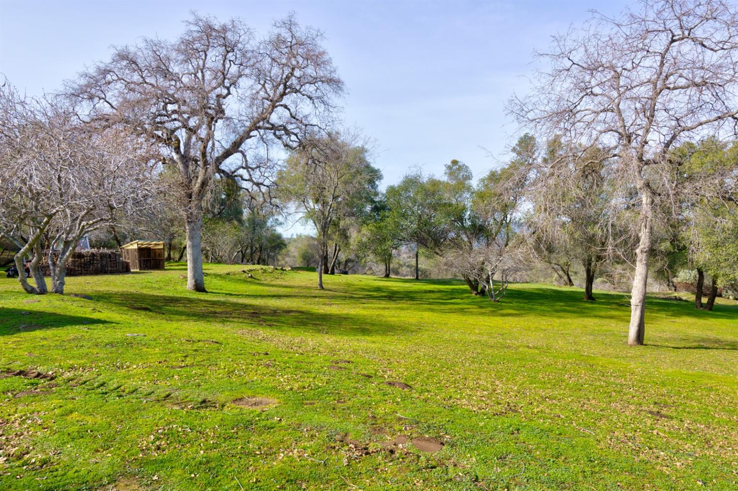 4359 Alamo Creek Road Mariposa, CA 95338 - Photo 59 of 61