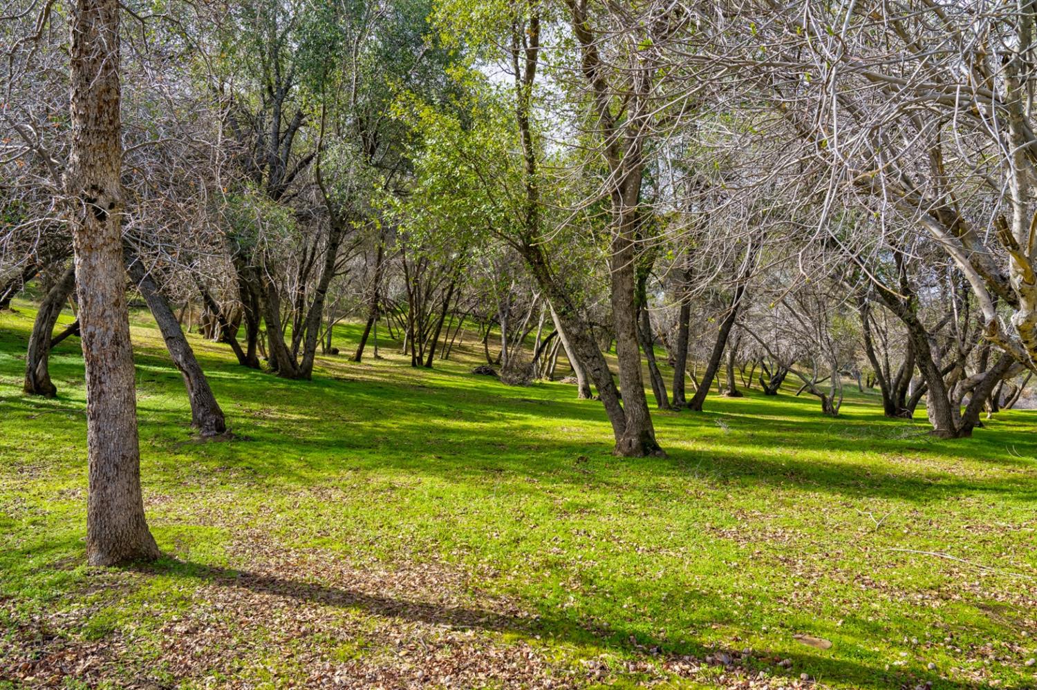 4359 Alamo Creek Road Mariposa, CA 95338 - Photo 61 of 61
