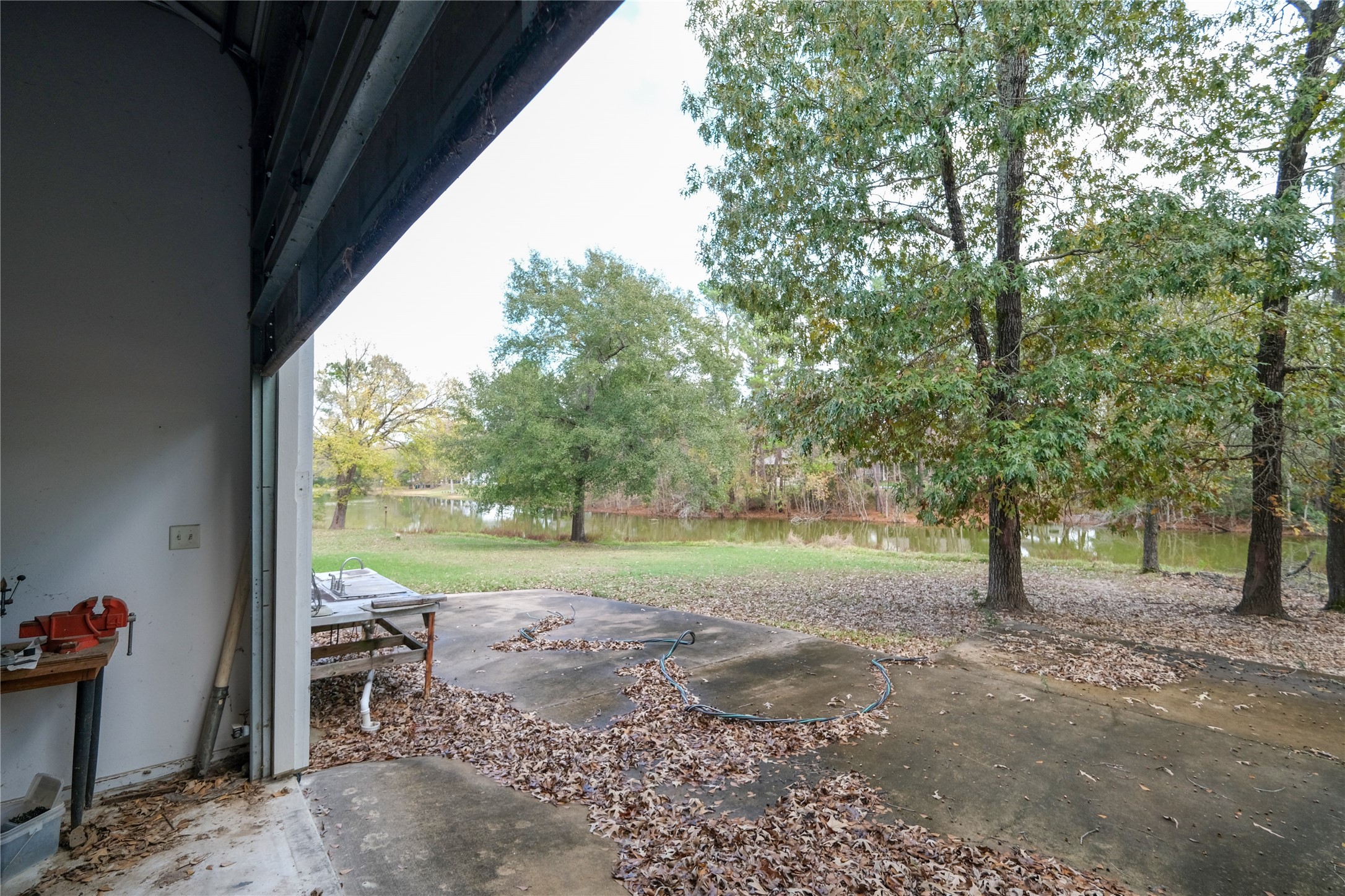 170 W Creek Trinity, TX 75862 - Photo 12 of 48 a view of yard with tree