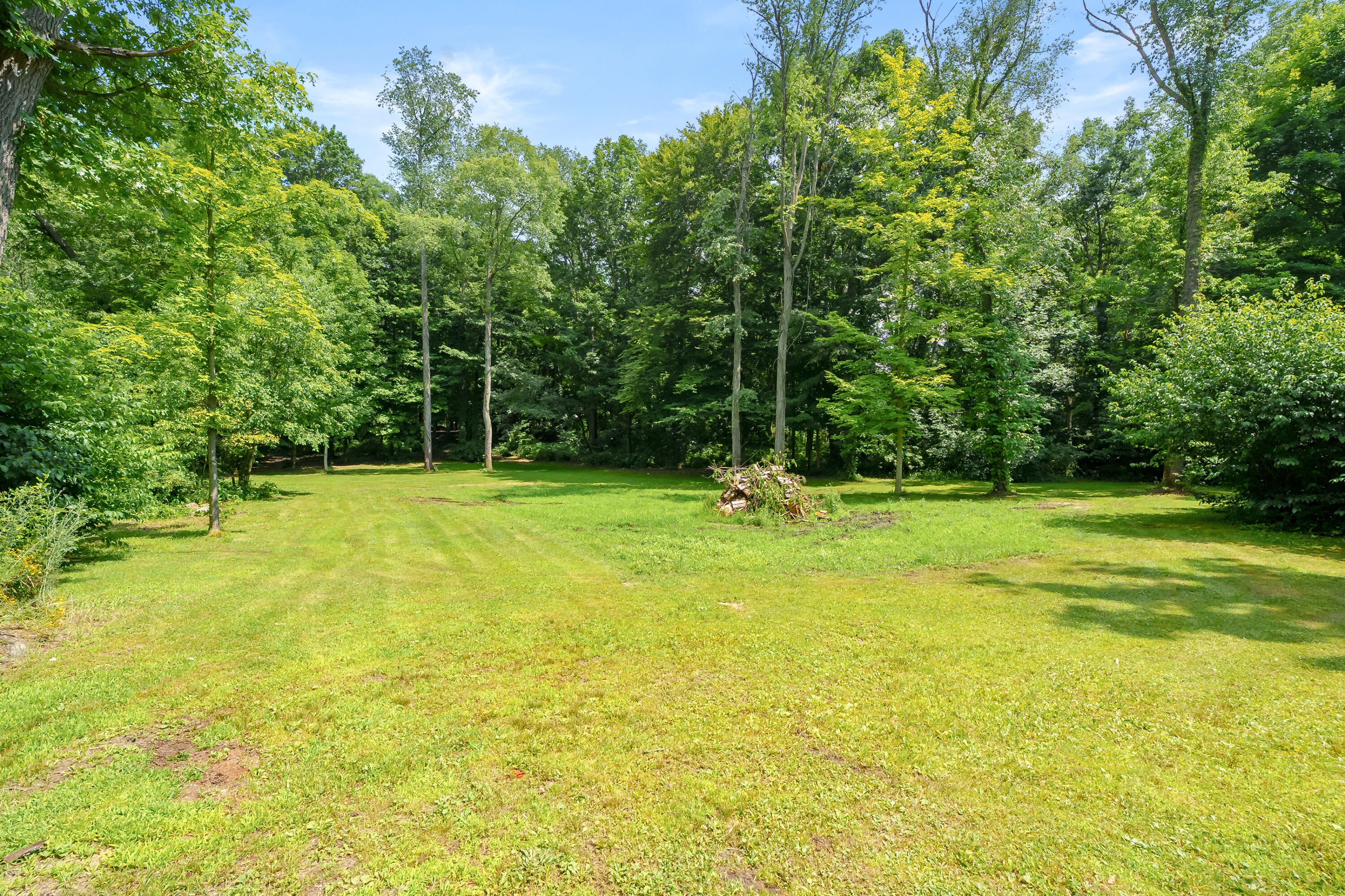 0 South Street Three Rivers, MI 49093 - Photo 5 of 10 M2 - South St VL Three Rivers 49093-10