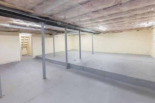 a view of a yard with plants and trees