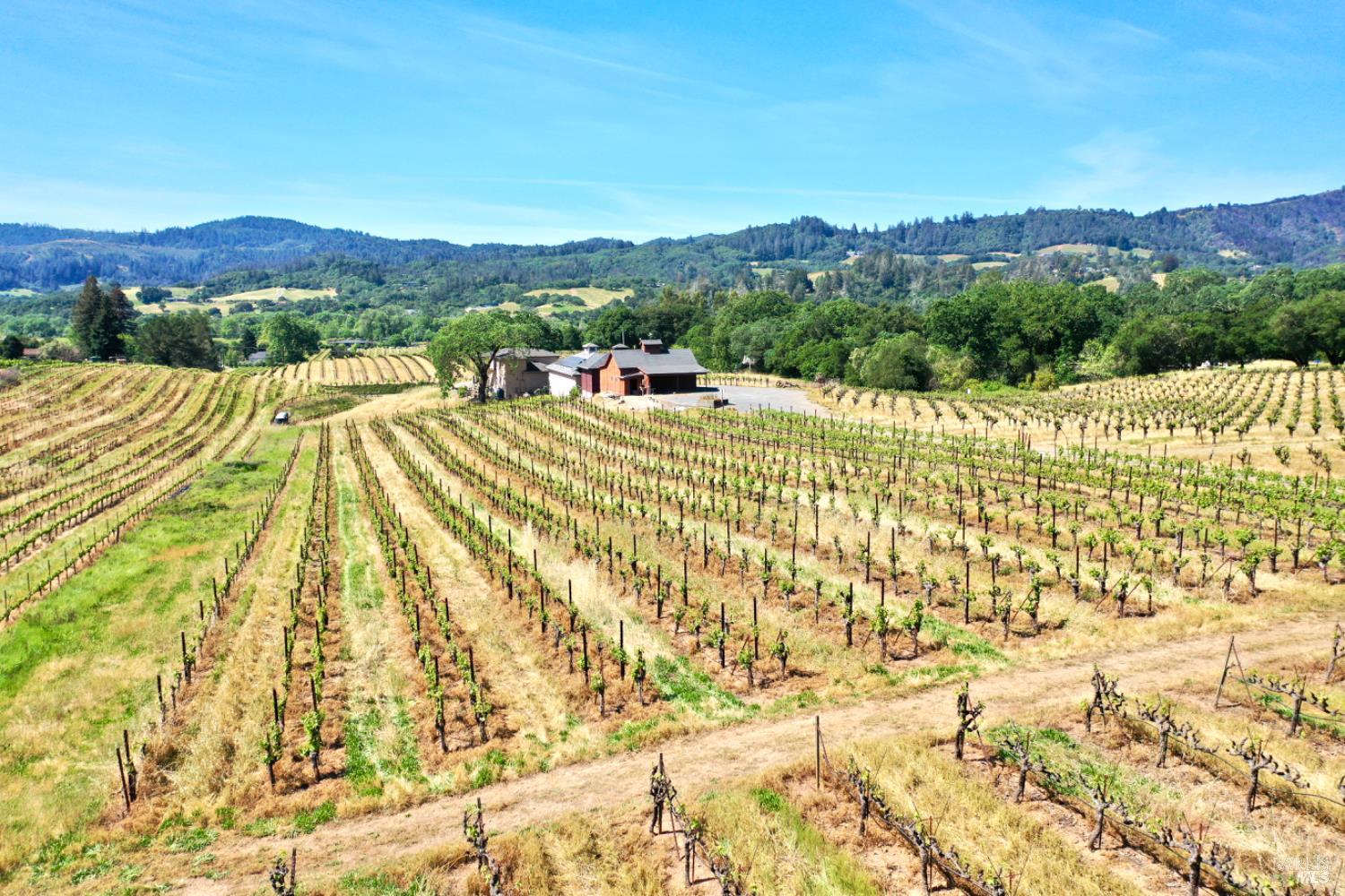 5143 Dry Creek Road Healdsburg, CA 95448 - Photo 63 of 85