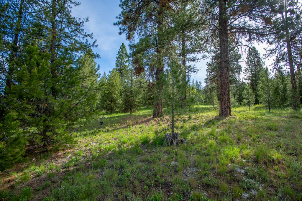 42 Clear Creek Road Cascade, ID 83611 - Photo 4 of 8