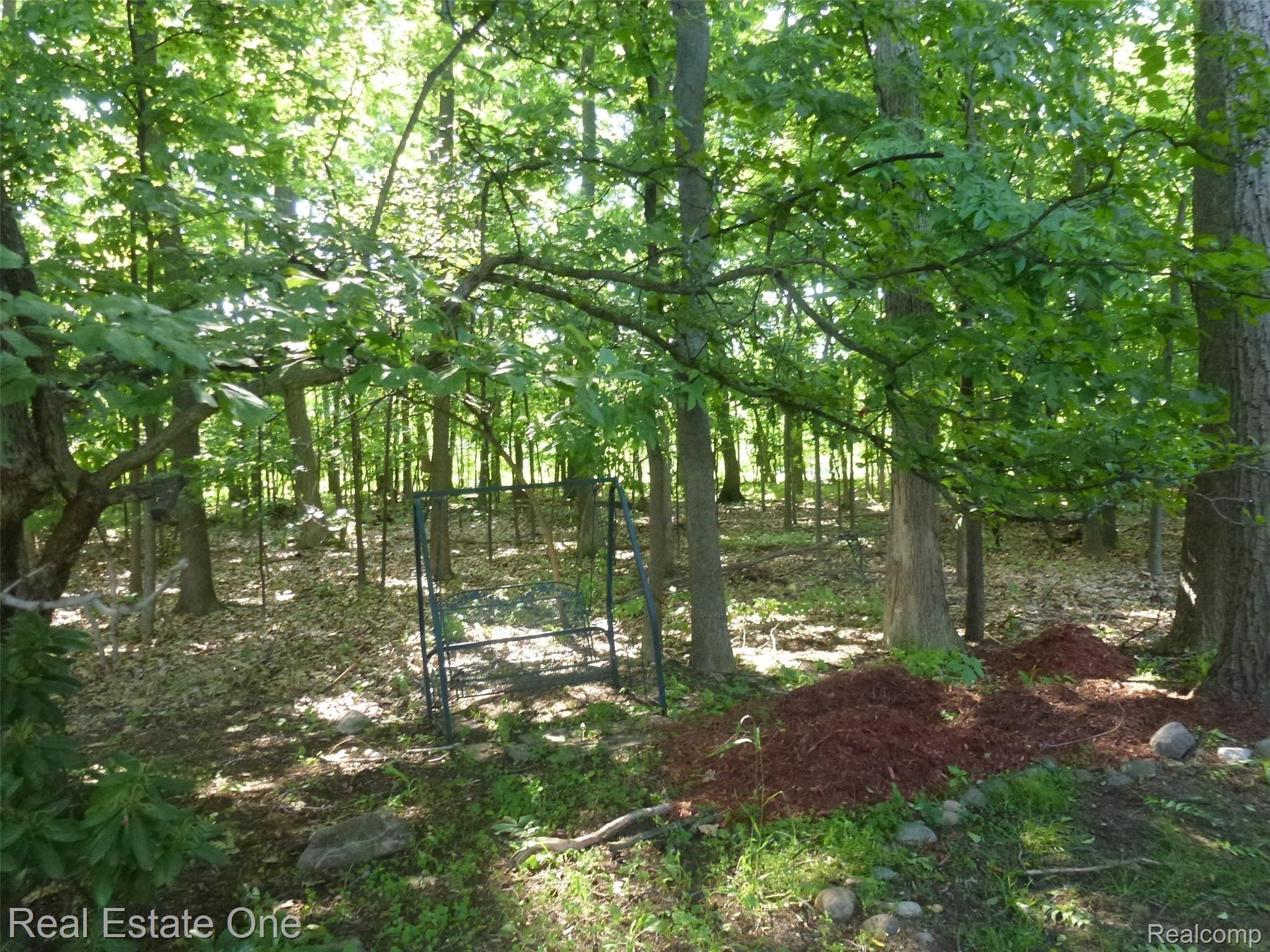 634 Shellbourne Drive Rochester, MI 48309 - Photo 8 of 52 P1070162.JPG View of Woods