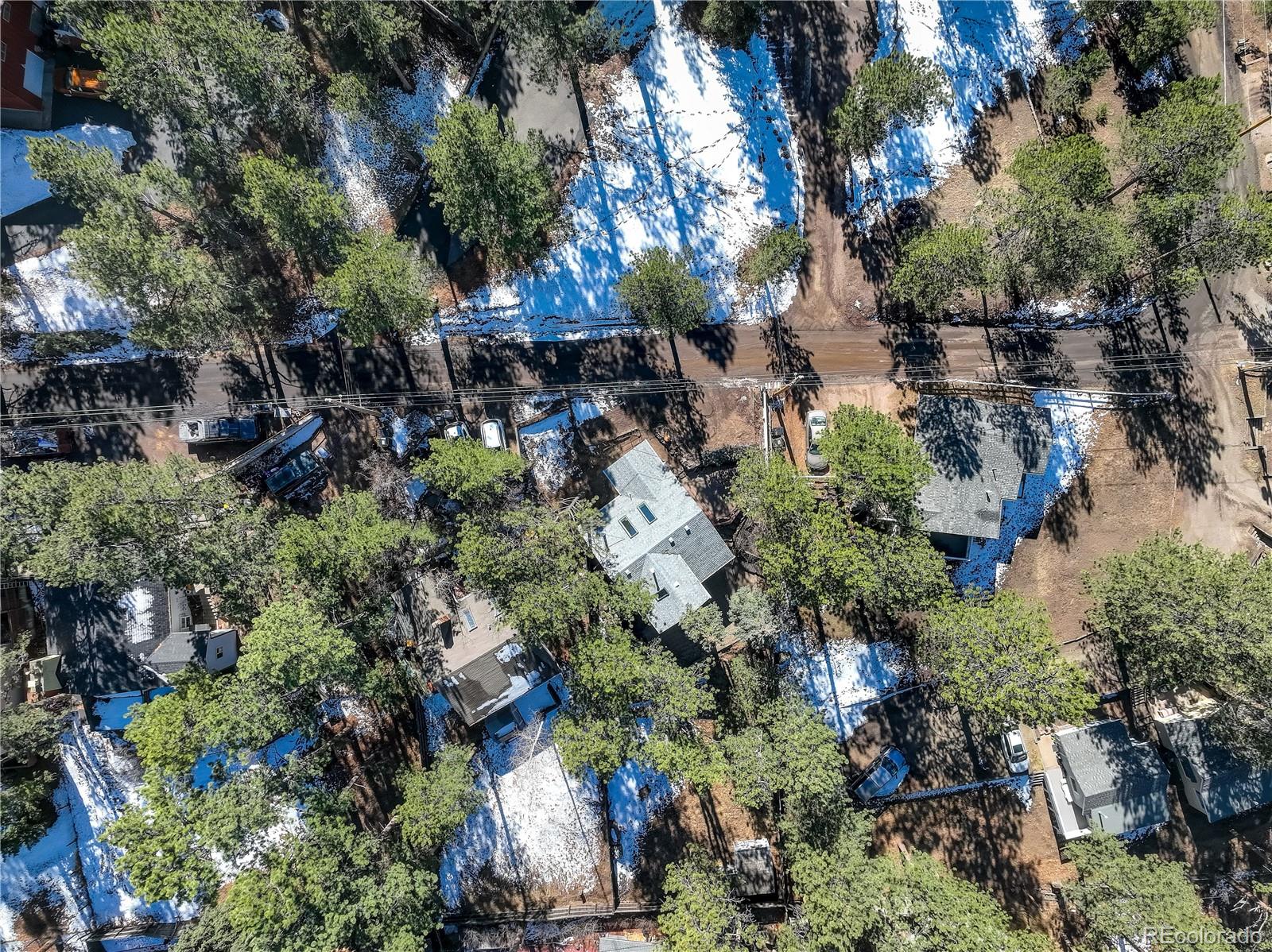 4784 South Pine Road Evergreen, CO 80439 - Photo 5 of 49