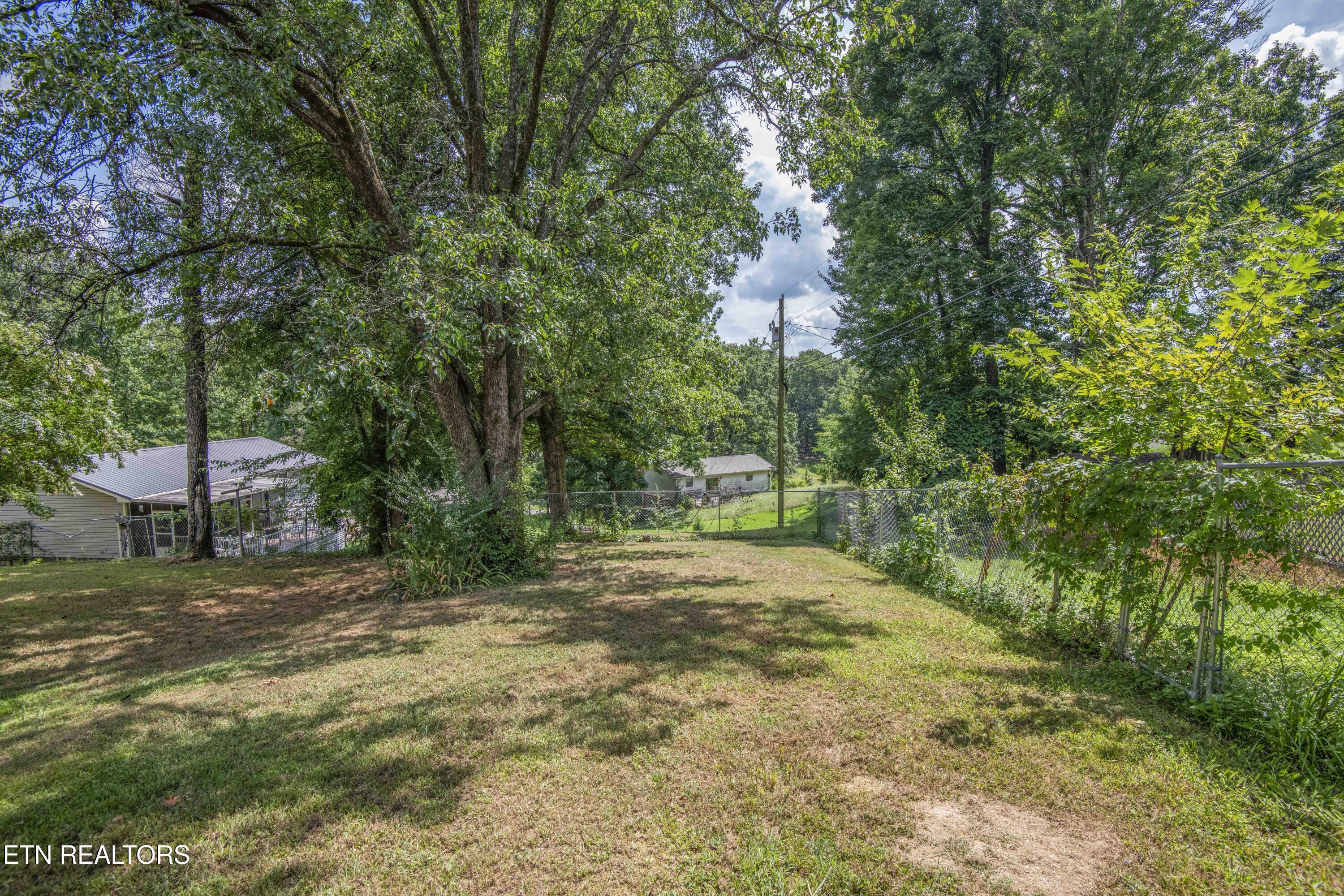 339 Cofer Circle Harriman, TN 37748 - Photo 43 of 53 yard 1_1