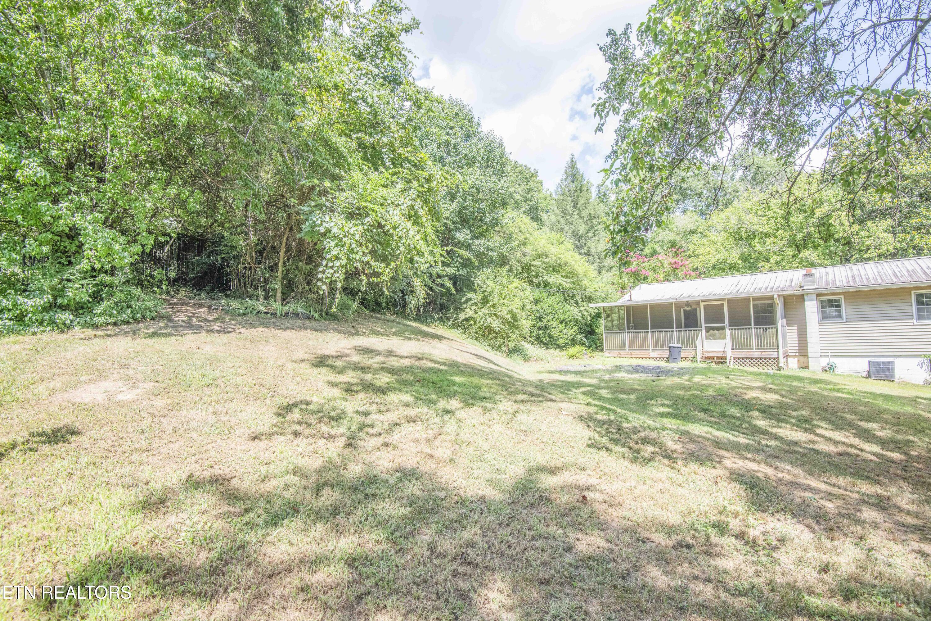 339 Cofer Circle Harriman, TN 37748 - Photo 44 of 53 yard 2_1