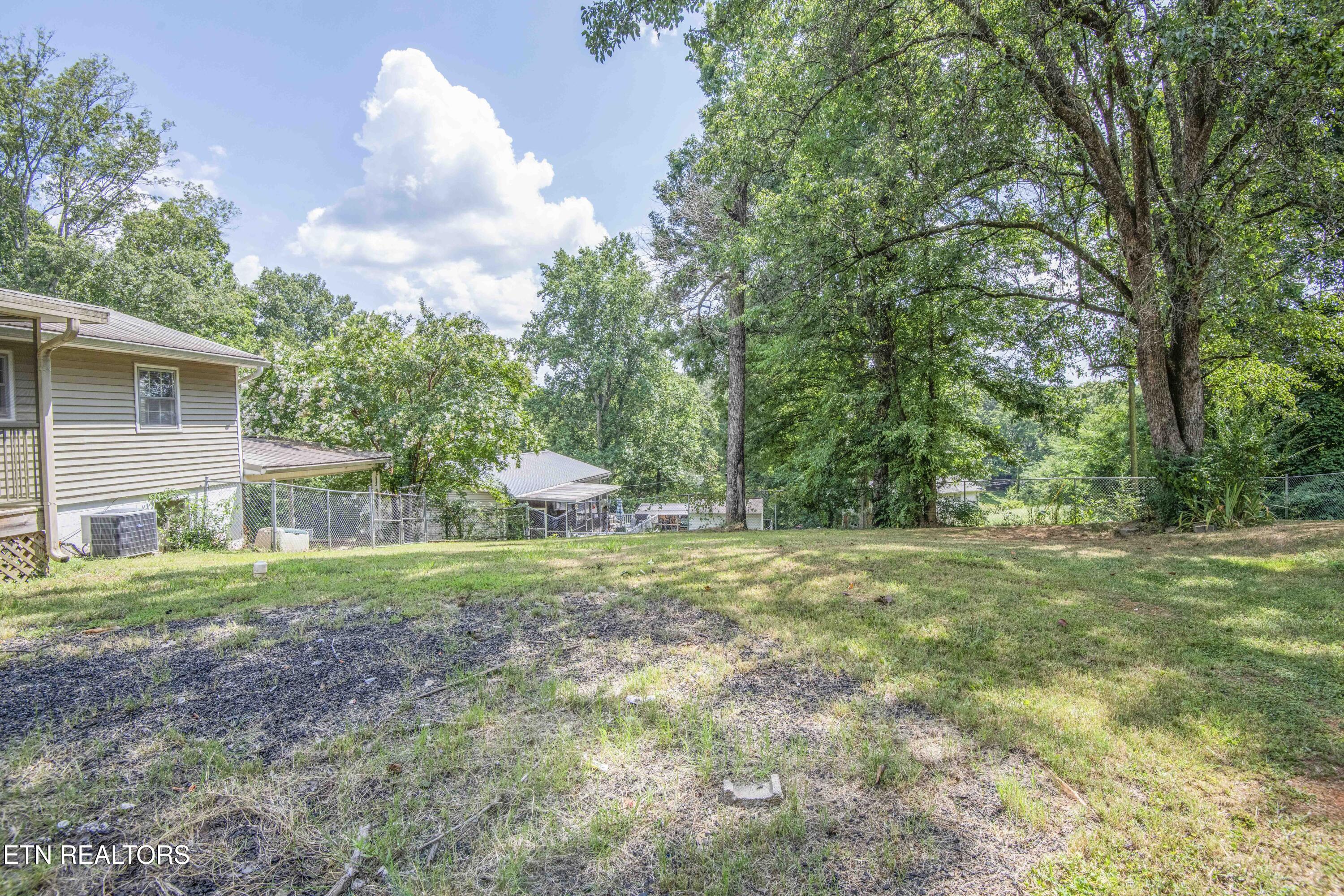339 Cofer Circle Harriman, TN 37748 - Photo 46 of 53 yard 4_1