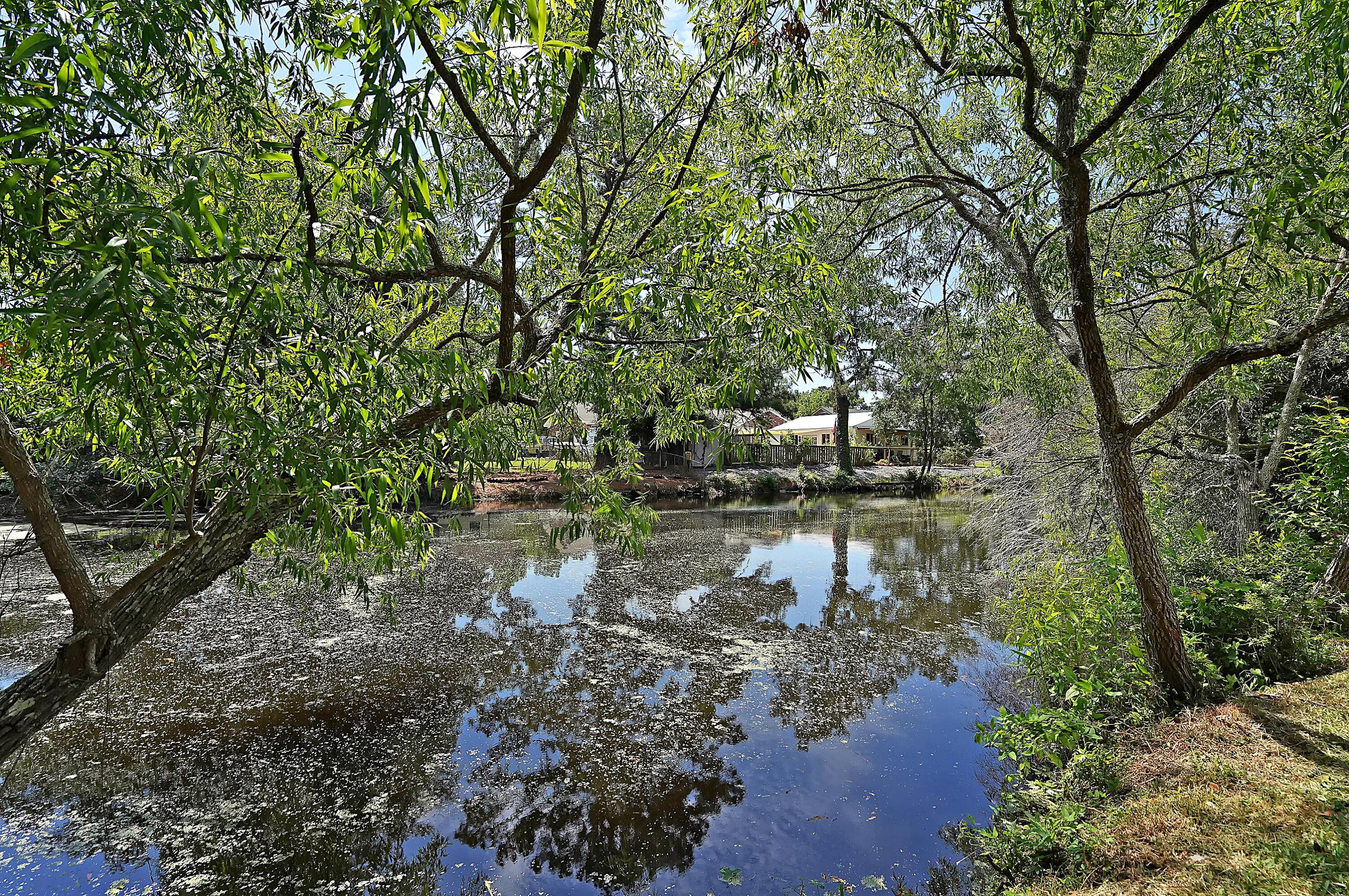 1132 Shoreham Road Charleston, SC 29412 - Photo 35 of 45 CREM_1132 Shoreham Rd_038