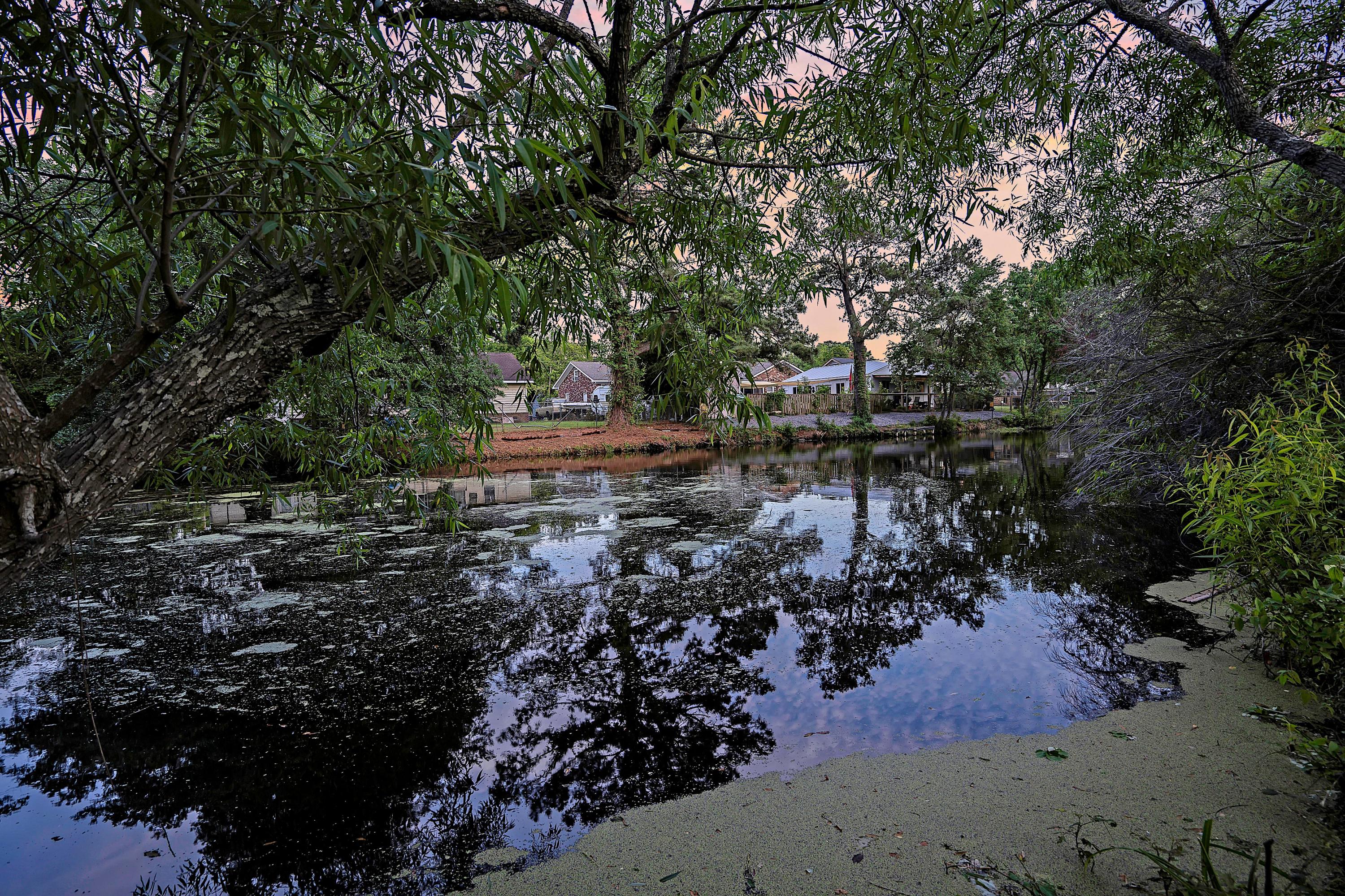 1132 Shoreham Road Charleston, SC 29412 - Photo 44 of 45 CREM_1132 Shoreham Rd_050