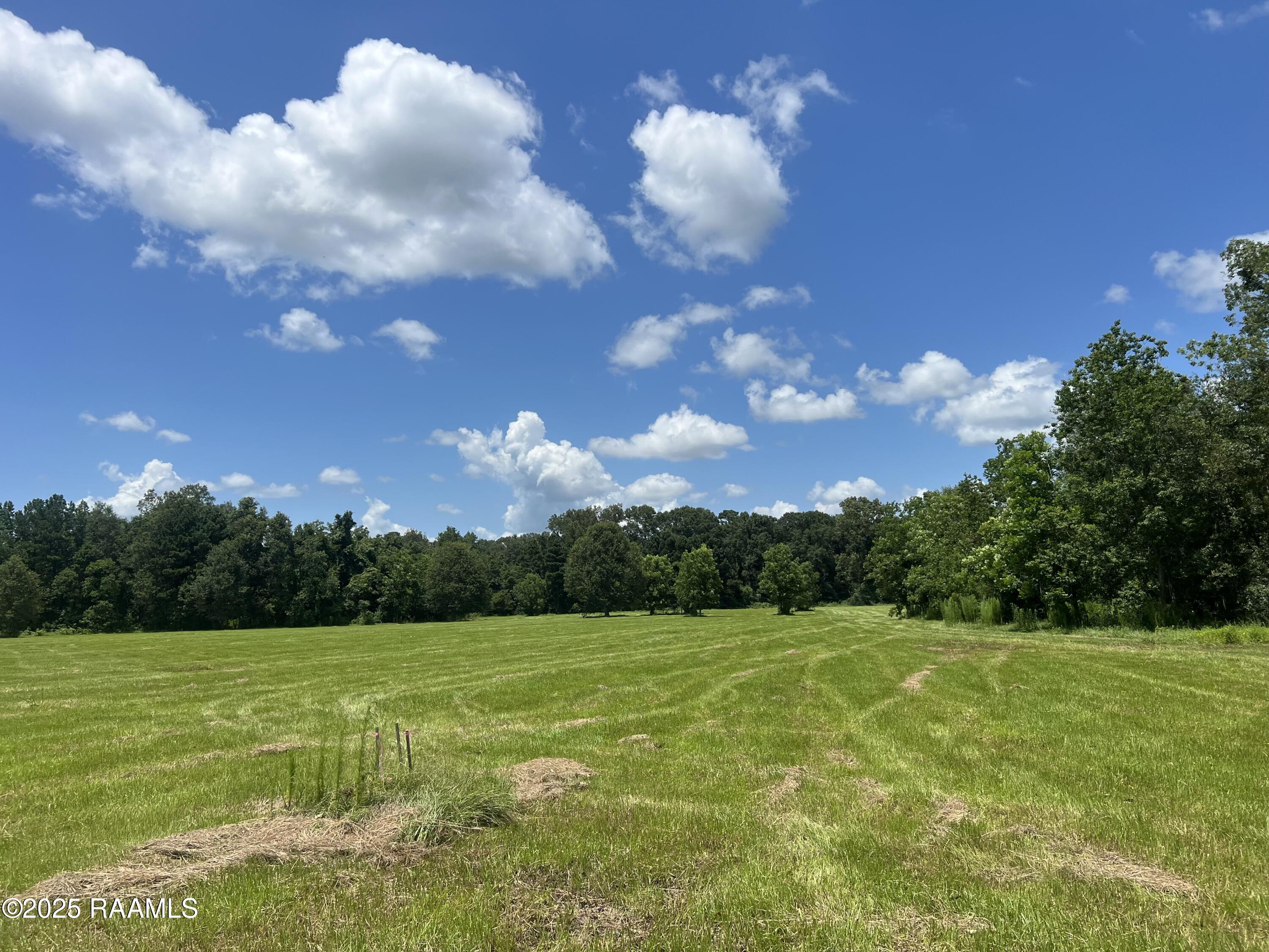 Tbd Kennerson Road, Unit LOT 12 Opelousas, LA 70570 - Photo 4 of 4 IMG_7700