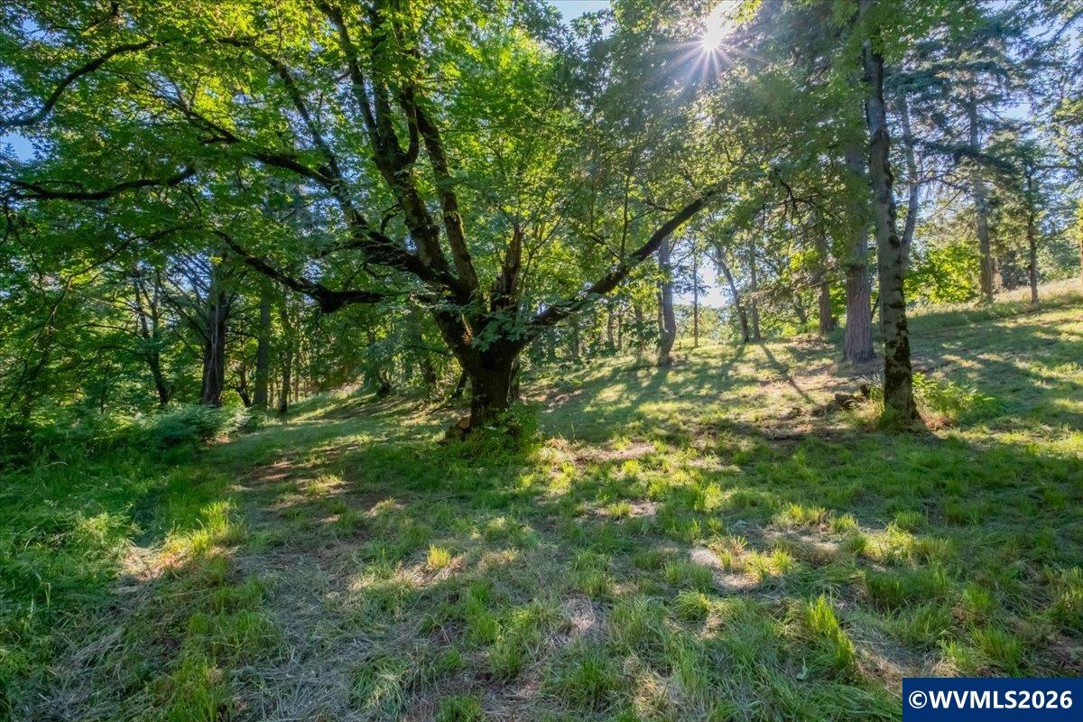 10102 Liberty Road South Salem, OR 97306 - Photo 48 of 49