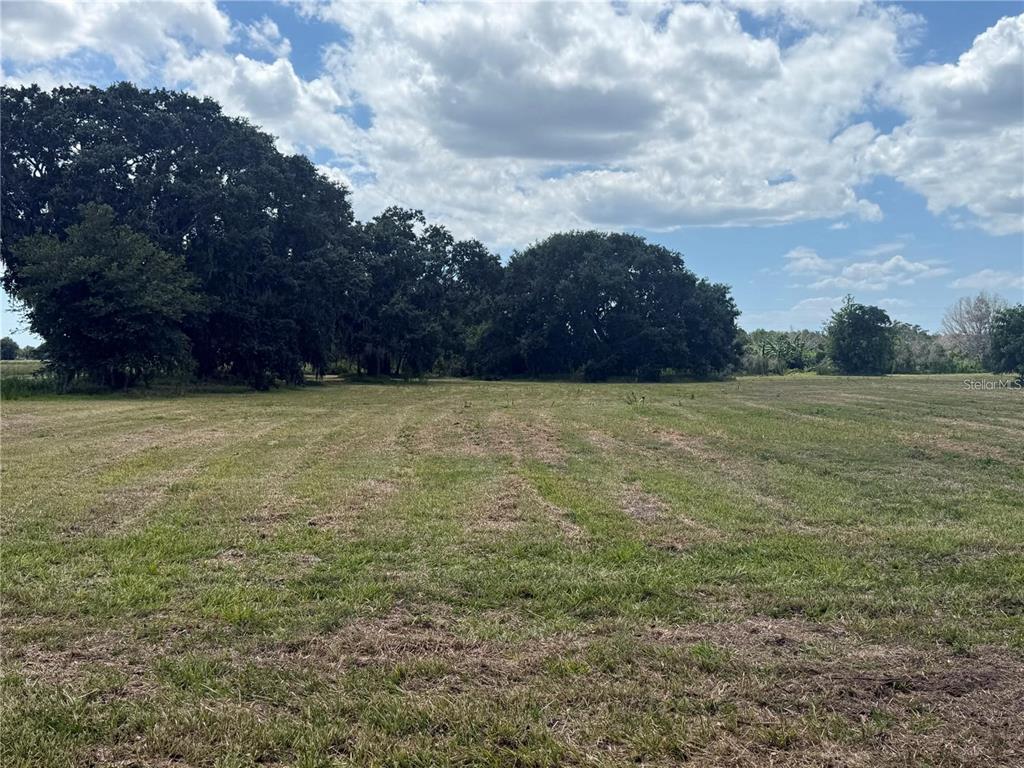 14845 Balm Road Wimauma, FL 33598 - Photo 1 of 25