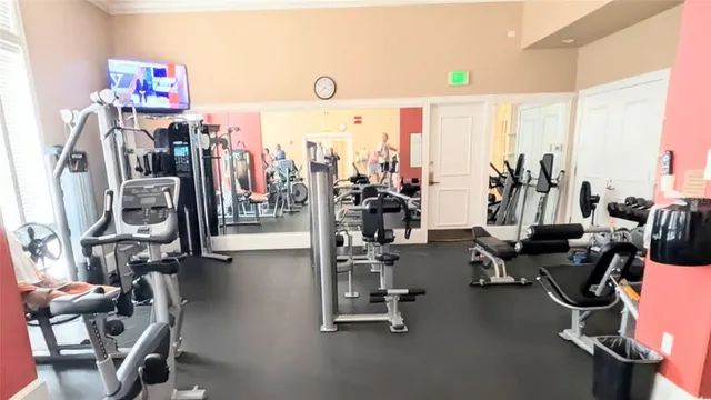 a view of a garden with plants