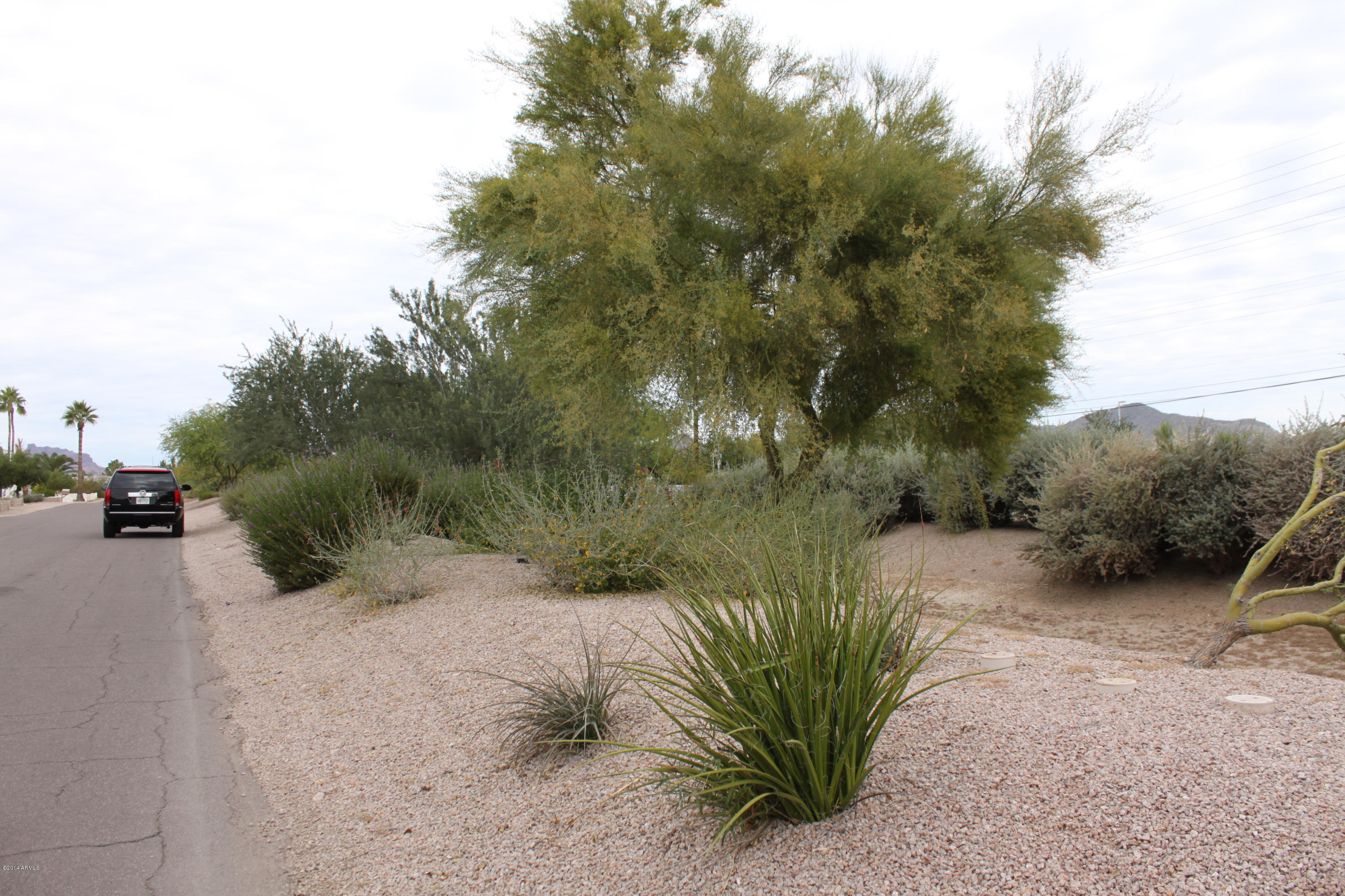2220 North Power Road Mesa, AZ 85215 - Photo 14 of 110 IMG_7430