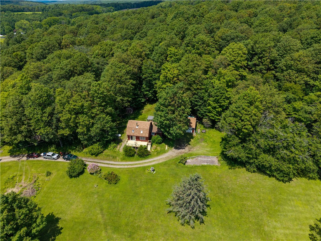 7817 Peglow Road Wayland, NY 14572 - Photo 42 of 46