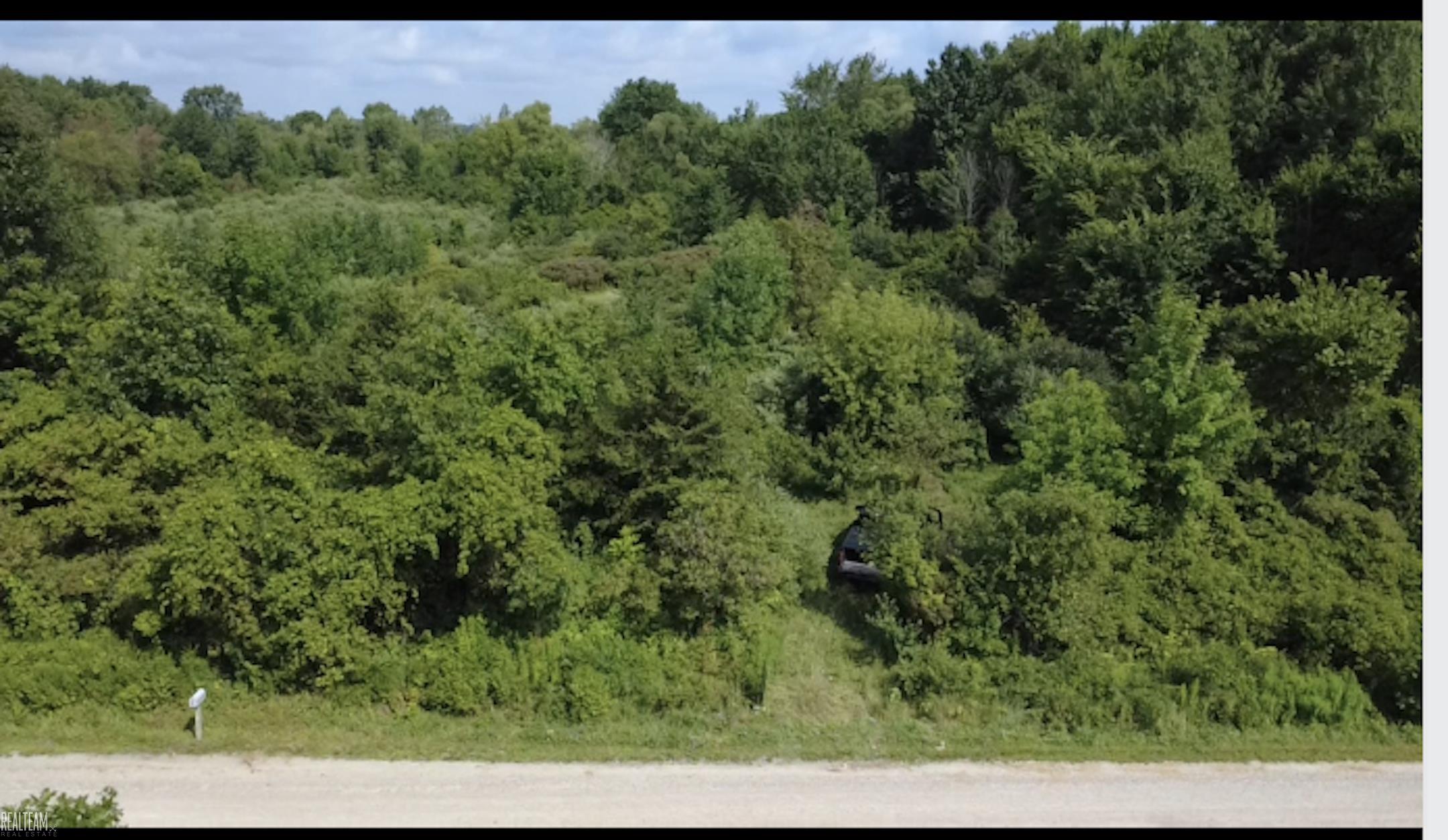 0 Nettney Road Capac, MI 48014 - Photo 2 of 3