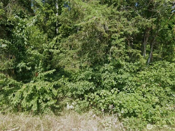 $34,999 | 31 Northeast Burt Court, Belfair, WA 98528