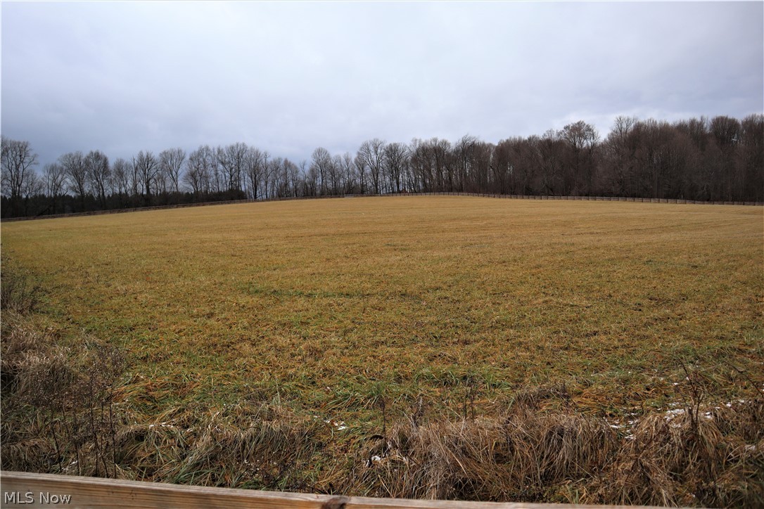 8544 River Styx Road Wadsworth, OH 44281 - Photo 30 of 35 Upper Pasture.