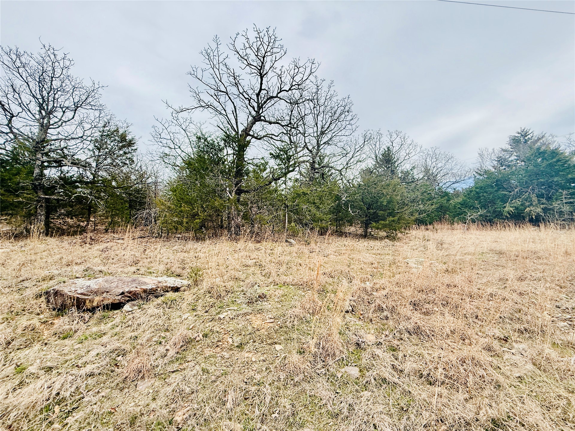 0 Dozer Mountain Road Eufaula, OK 74432 - Photo 6 of 7 Expansive undeveloped land featuring mature deciduous and evergreen trees, with natural ground cover