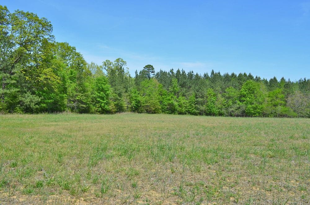 3870 Old Allensville Road Roxboro, NC 27574 - Photo 6 of 6 a view of a field with trees in background