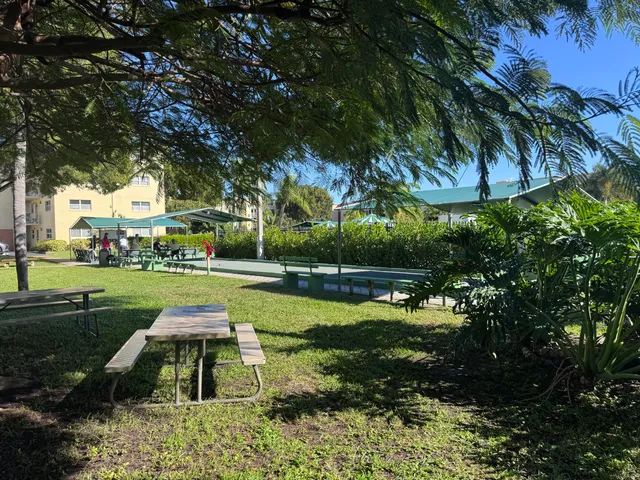 a view of a park with large trees