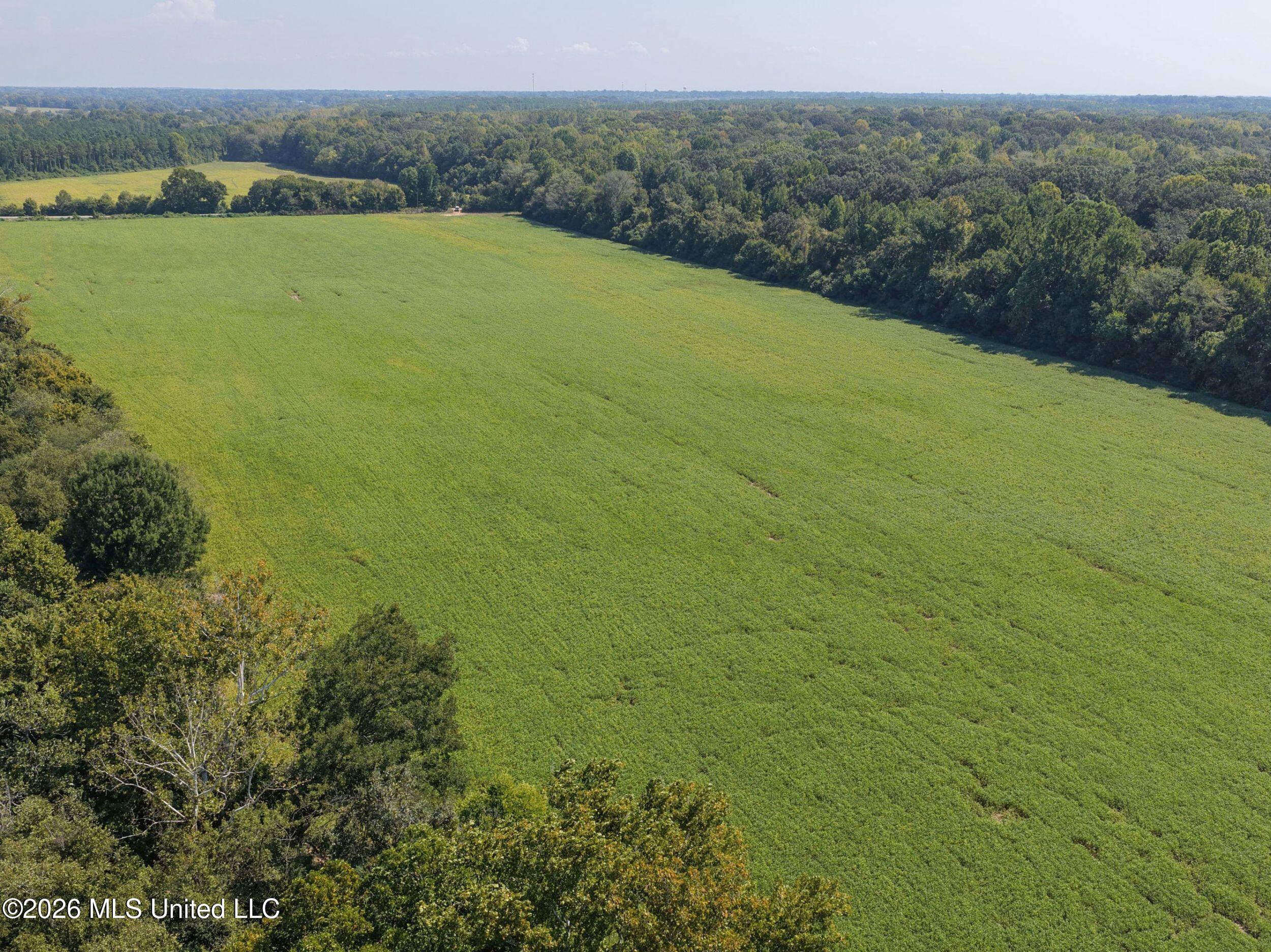 48-ac Old Panola Road Sardis, MS 38666 - Photo 30 of 30 7trtrwest15