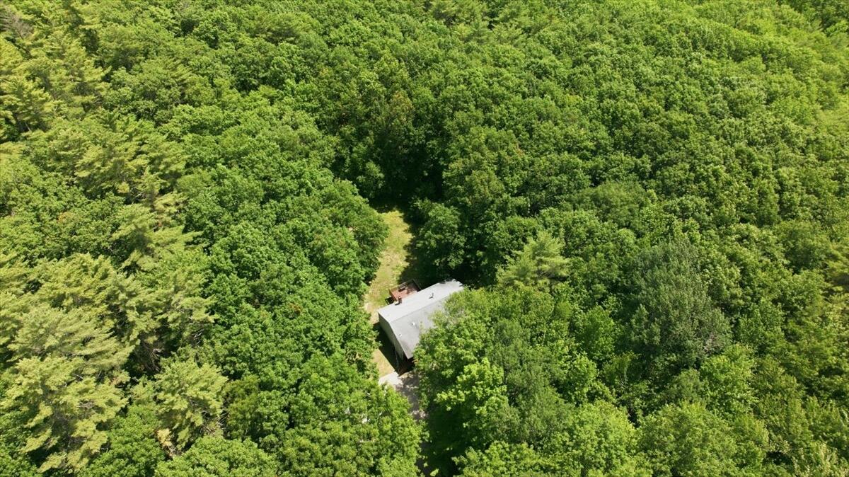 53 Butler Hill Road Minot, ME 04258 - Photo 51 of 57 16-DJI_20260615120109_0013_D