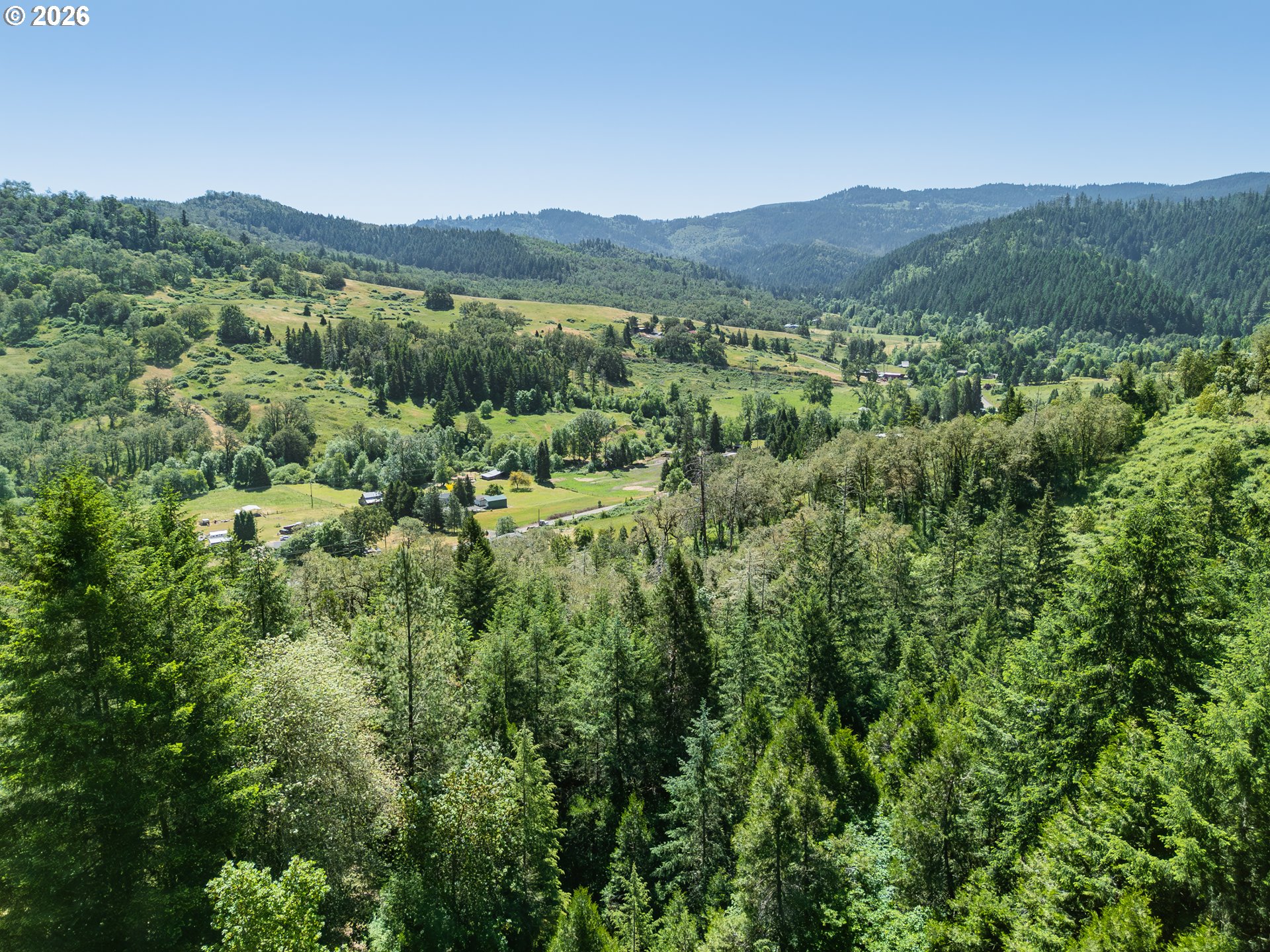 3707 Willis Creek Road Winston, OR 97496 - Photo 14 of 30 a view of a forest with a street