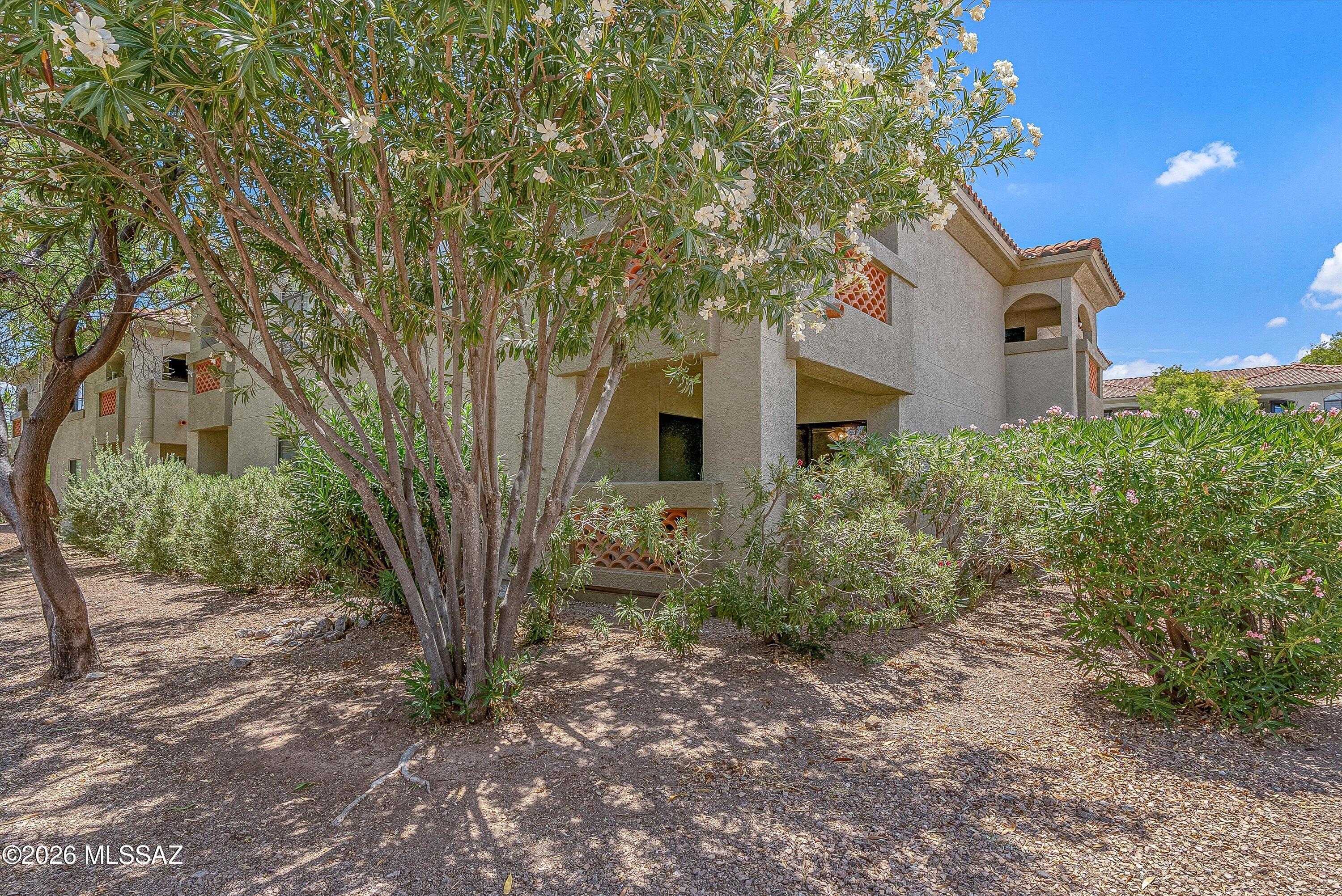 5751 North Kolb Road, Unit 40104 Tucson, AZ 85750 - Photo 23 of 34
