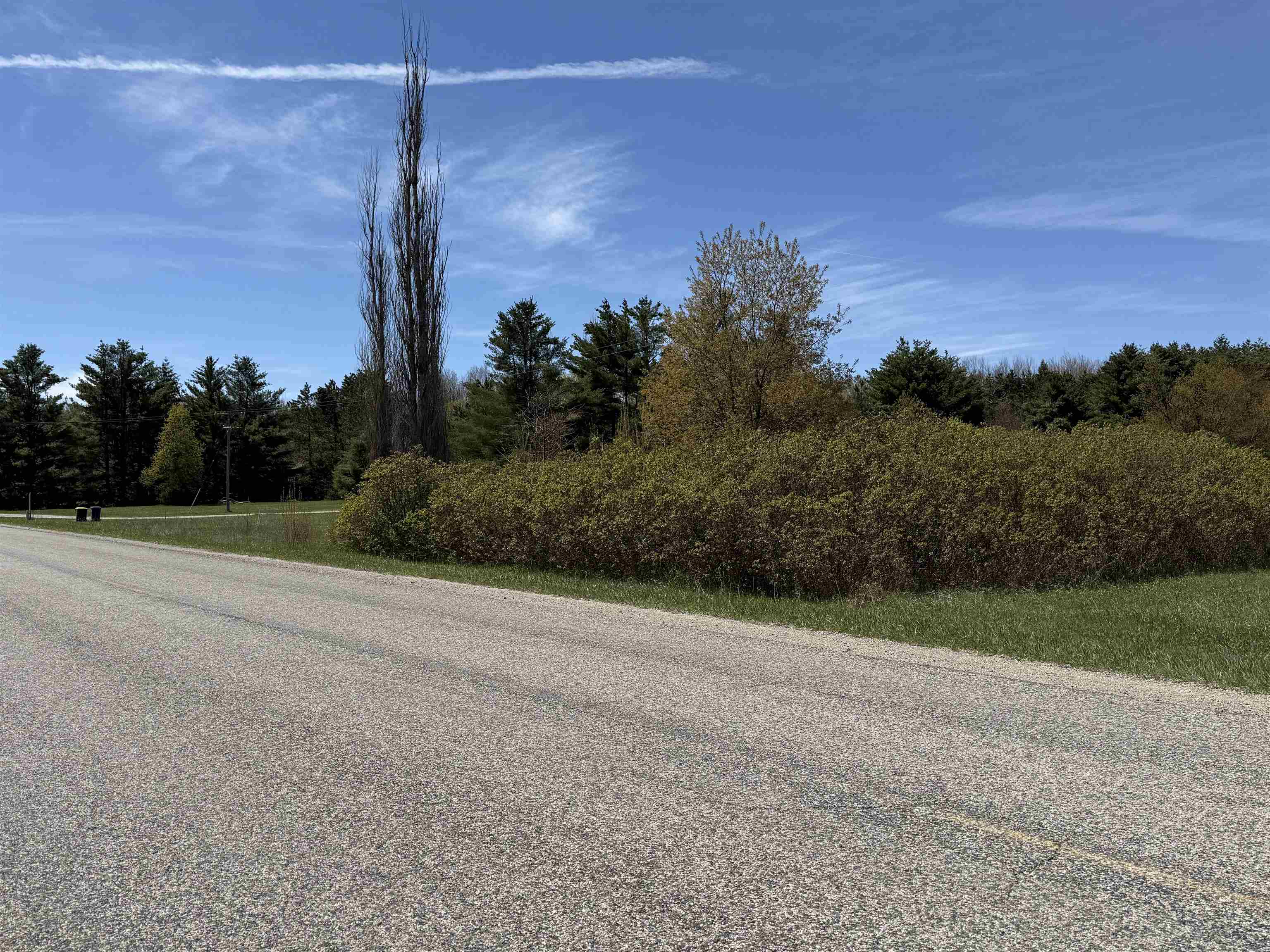 7274 South Forward Road McBain, MI 49657 - Photo 12 of 76