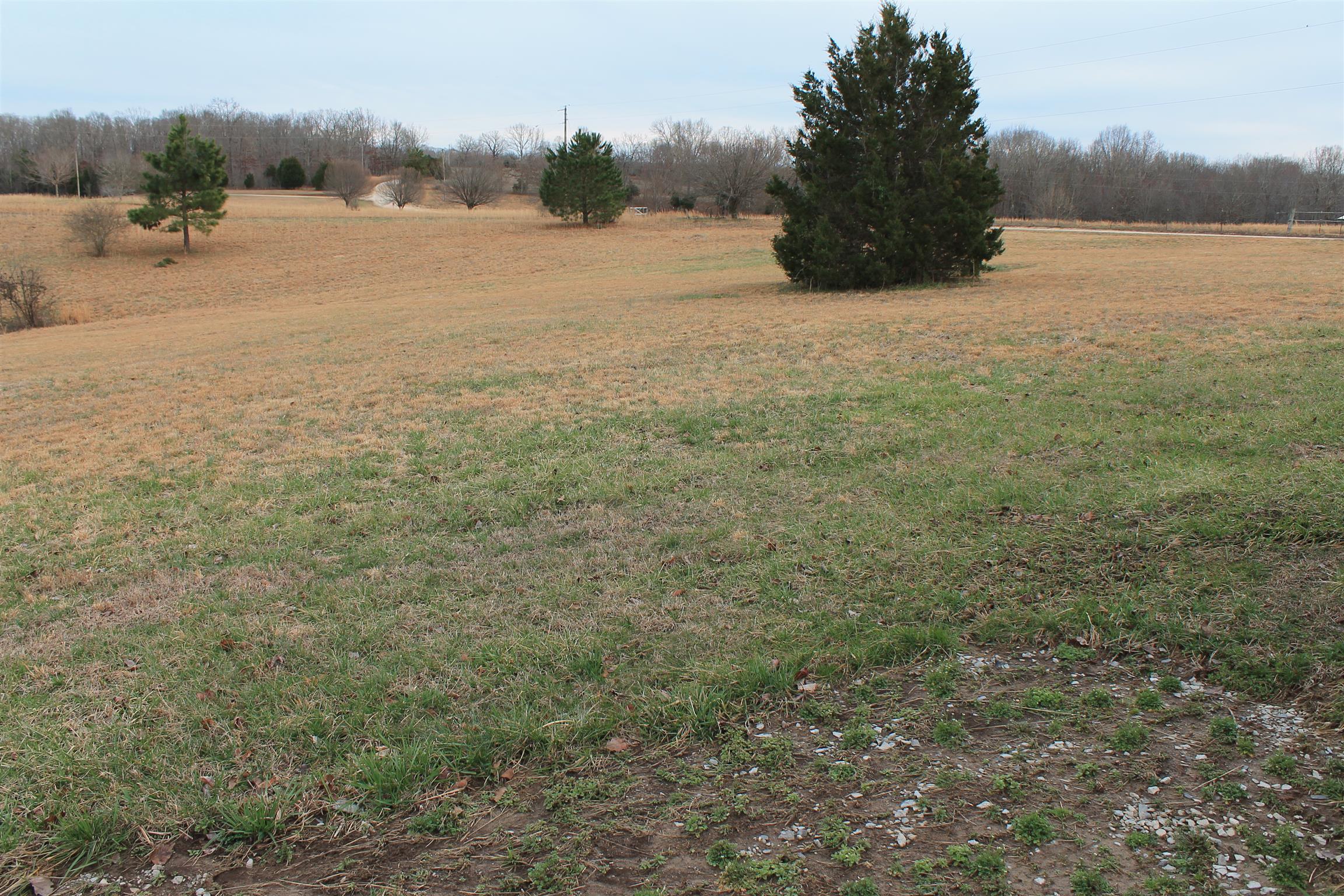 1925 Humphreys Co Line Road Dickson, TN 37055 - Photo 5 of 23 a view of lake view and mountain view