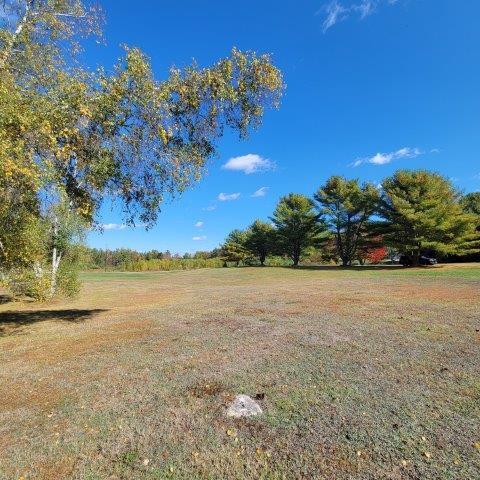 15 Skunk Hill Road Lee, ME 04455 - Photo 9 of 53 Front lawn