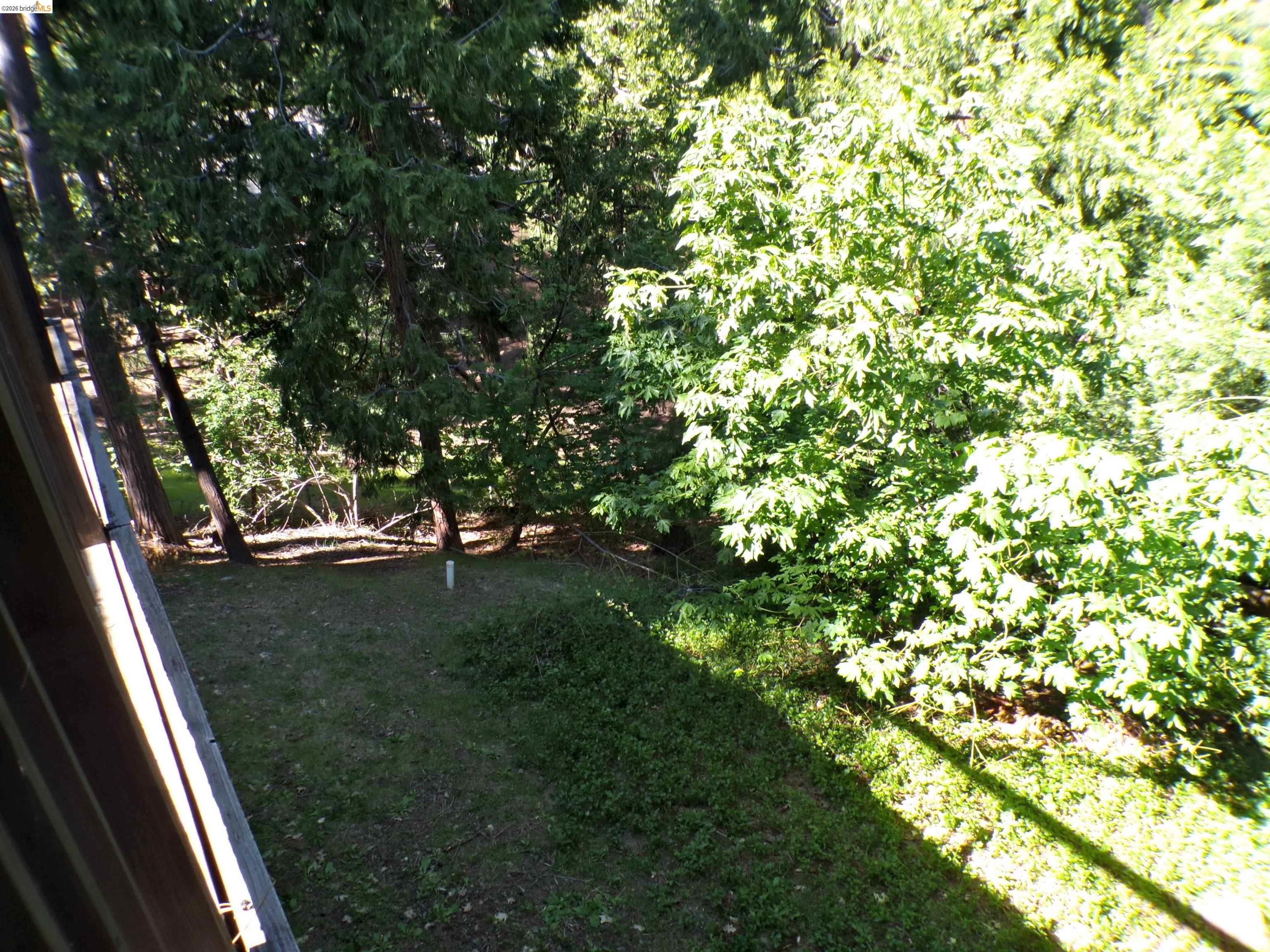20663 Haiapo Road Mi Wuk Village, CA 95346 - Photo 21 of 24 a view of backyard with green space