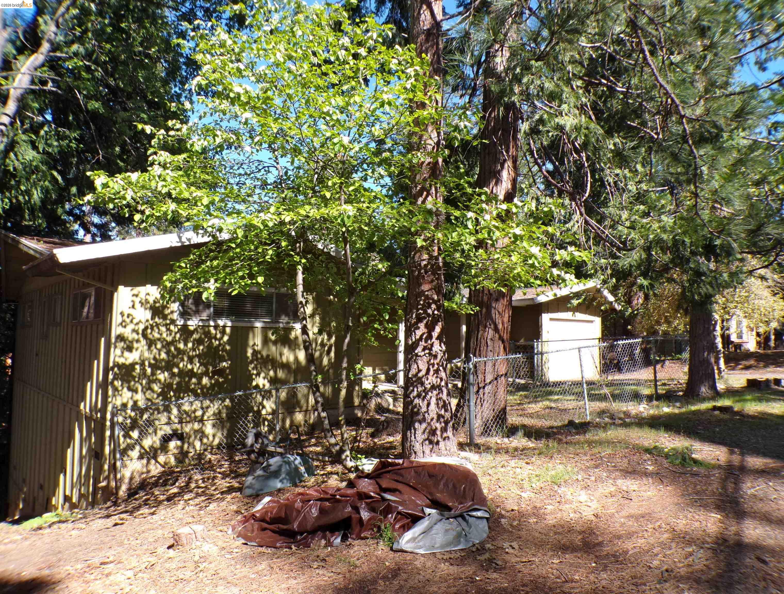20663 Haiapo Road Mi Wuk Village, CA 95346 - Photo 24 of 24 a view of a yard with plants and trees