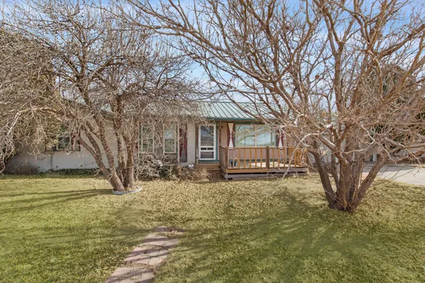 a large tree in front of a white house