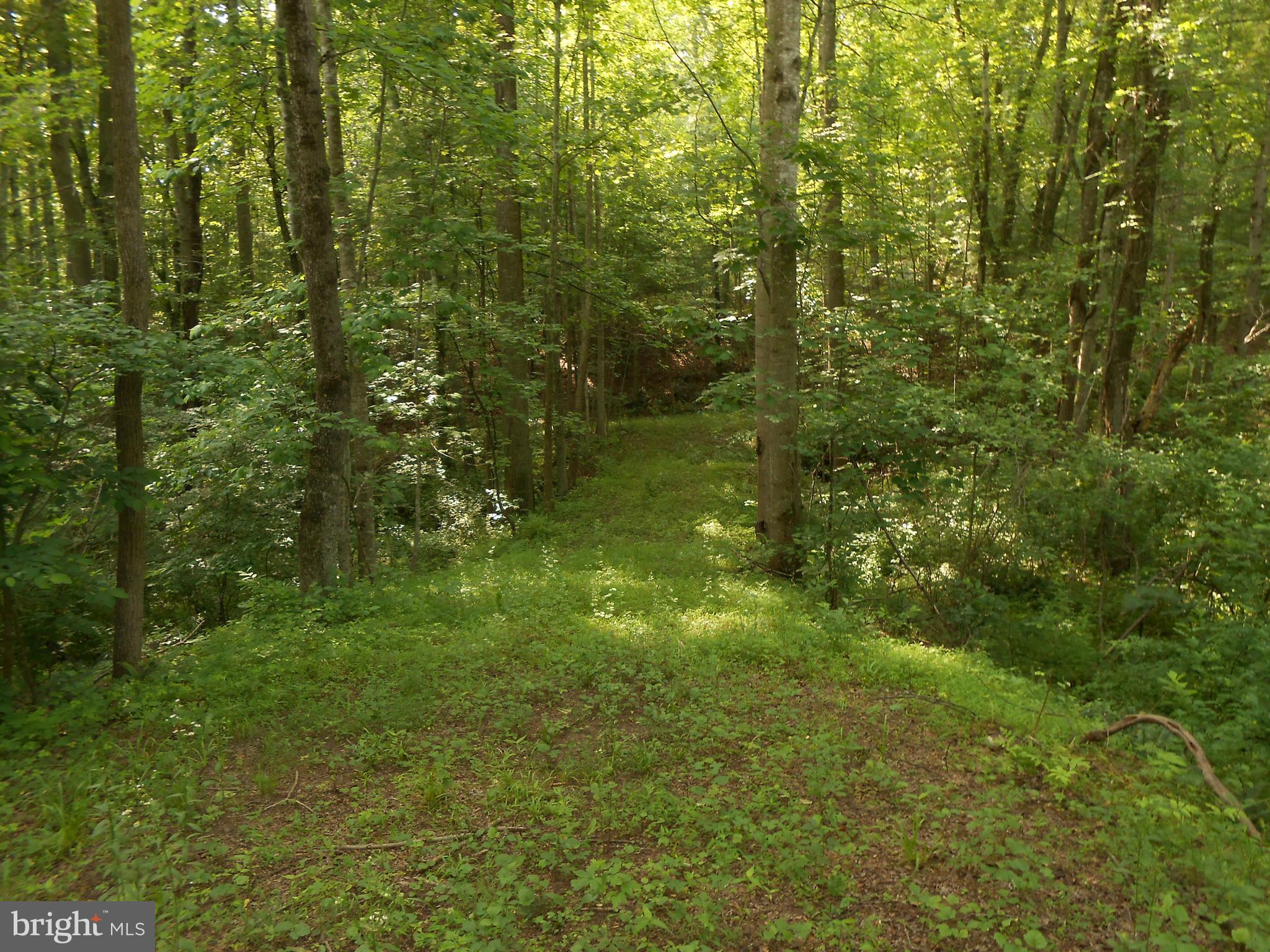 The Mountain Road Culpeper, VA 22701 - Photo 1 of 17 Gravel entry