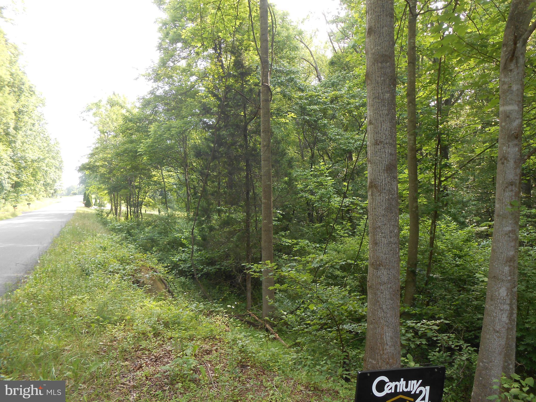 The Mountain Road Culpeper, VA 22701 - Photo 2 of 17 Paved Road