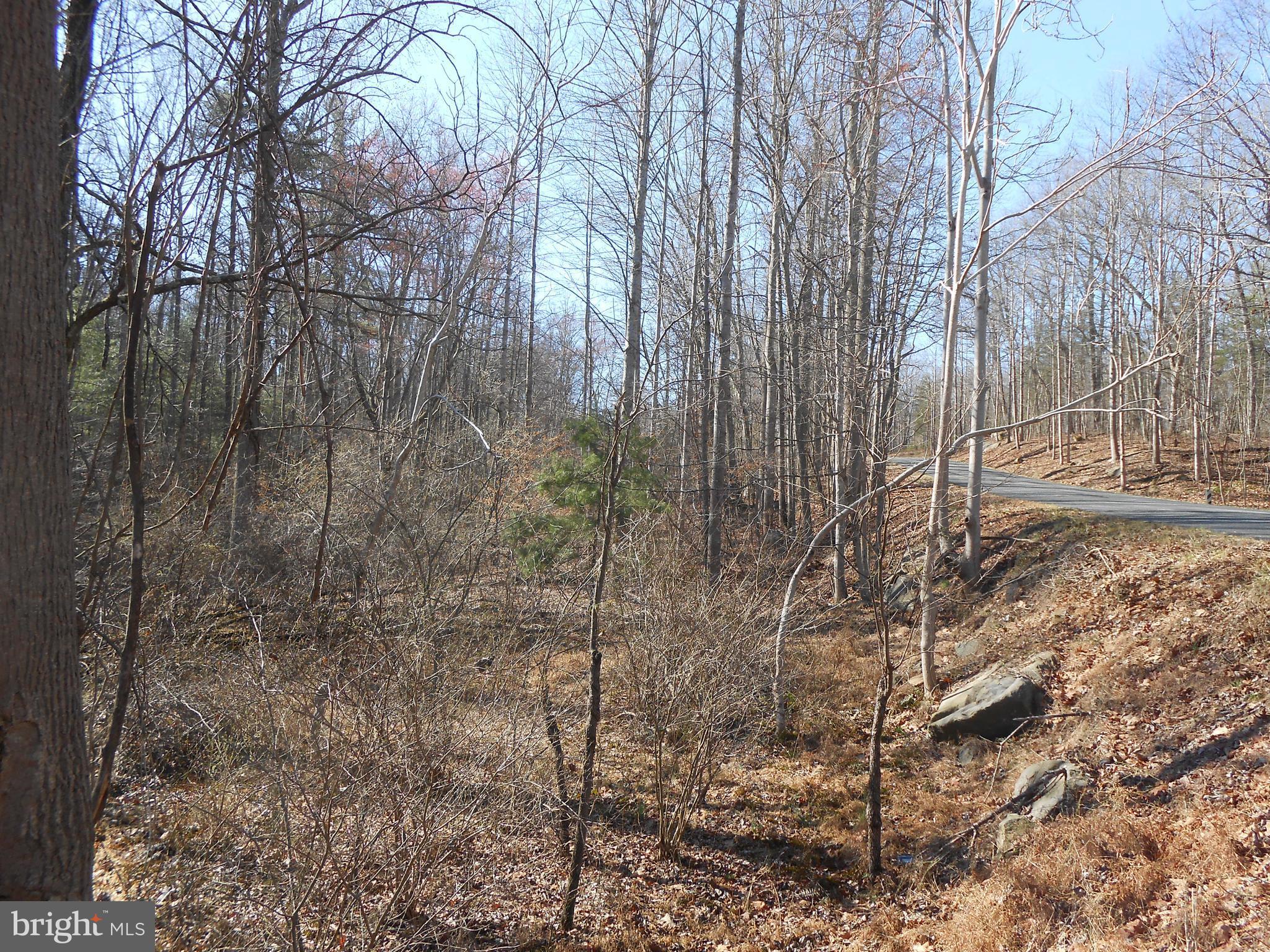 The Mountain Road Culpeper, VA 22701 - Photo 11 of 17 View