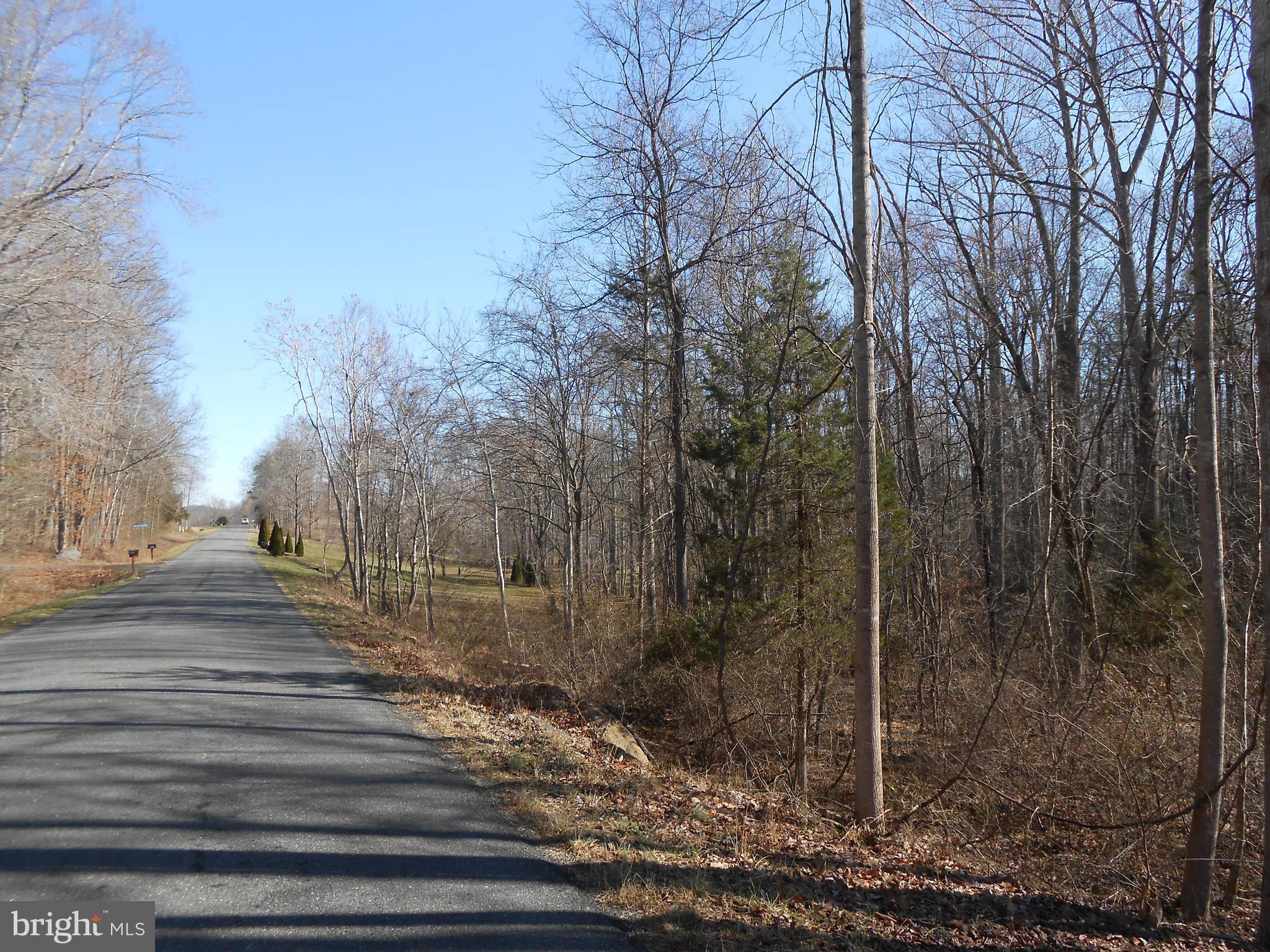 The Mountain Road Culpeper, VA 22701 - Photo 12 of 17 View