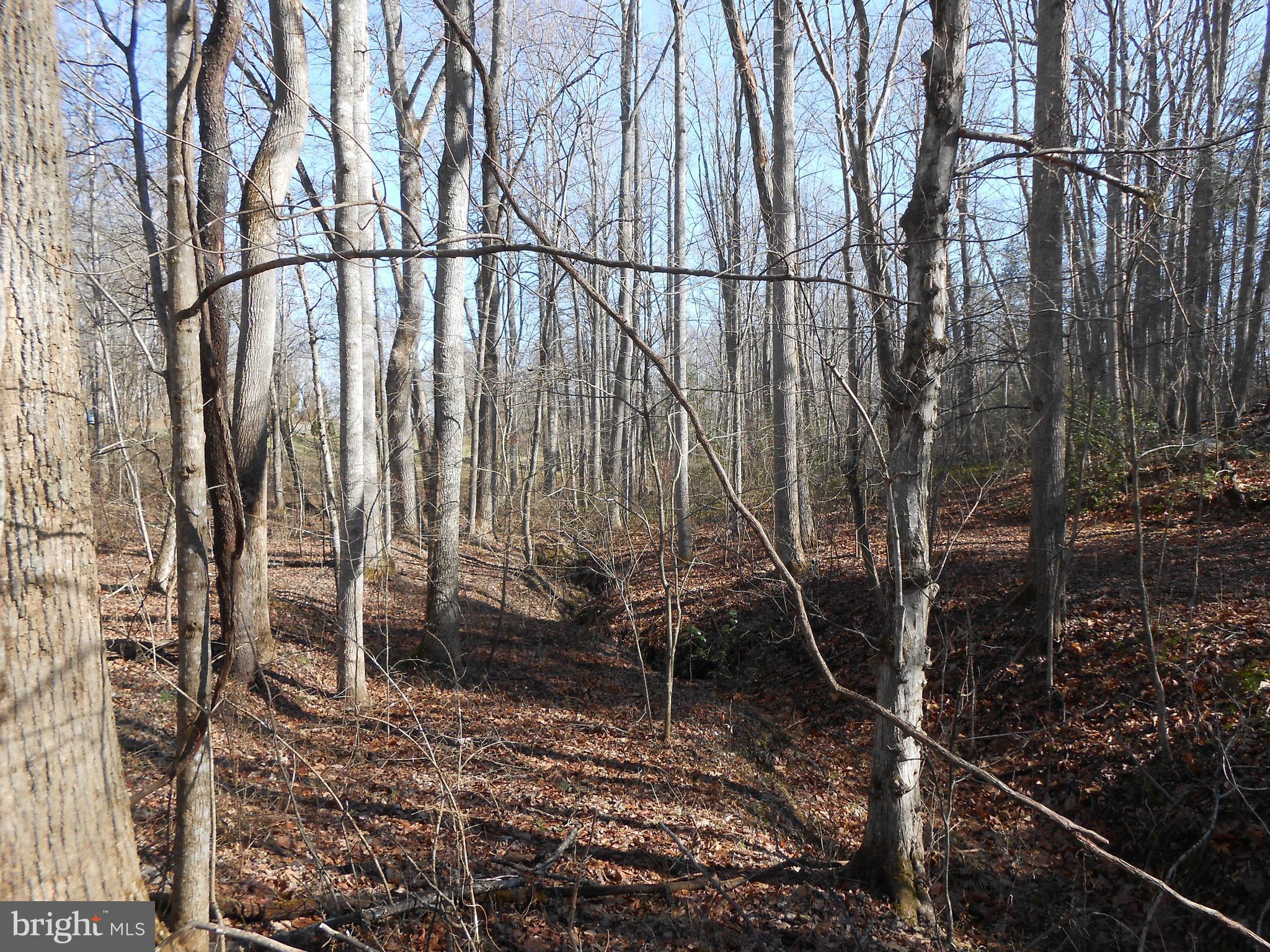The Mountain Road Culpeper, VA 22701 - Photo 13 of 17 View