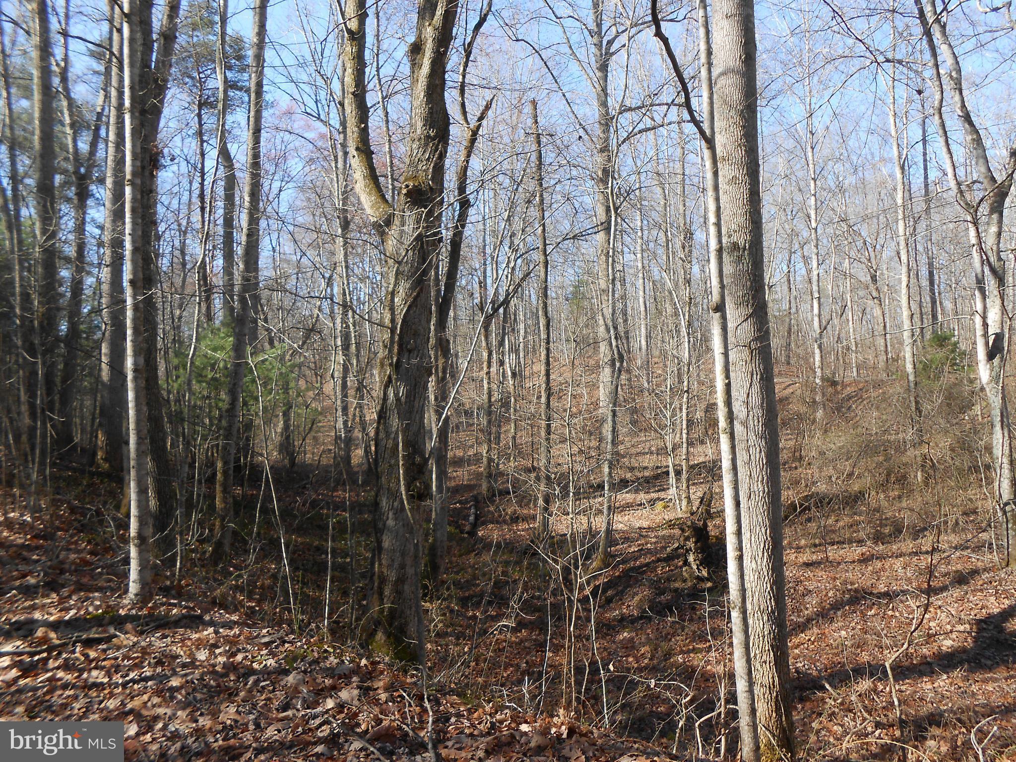 The Mountain Road Culpeper, VA 22701 - Photo 14 of 17 View