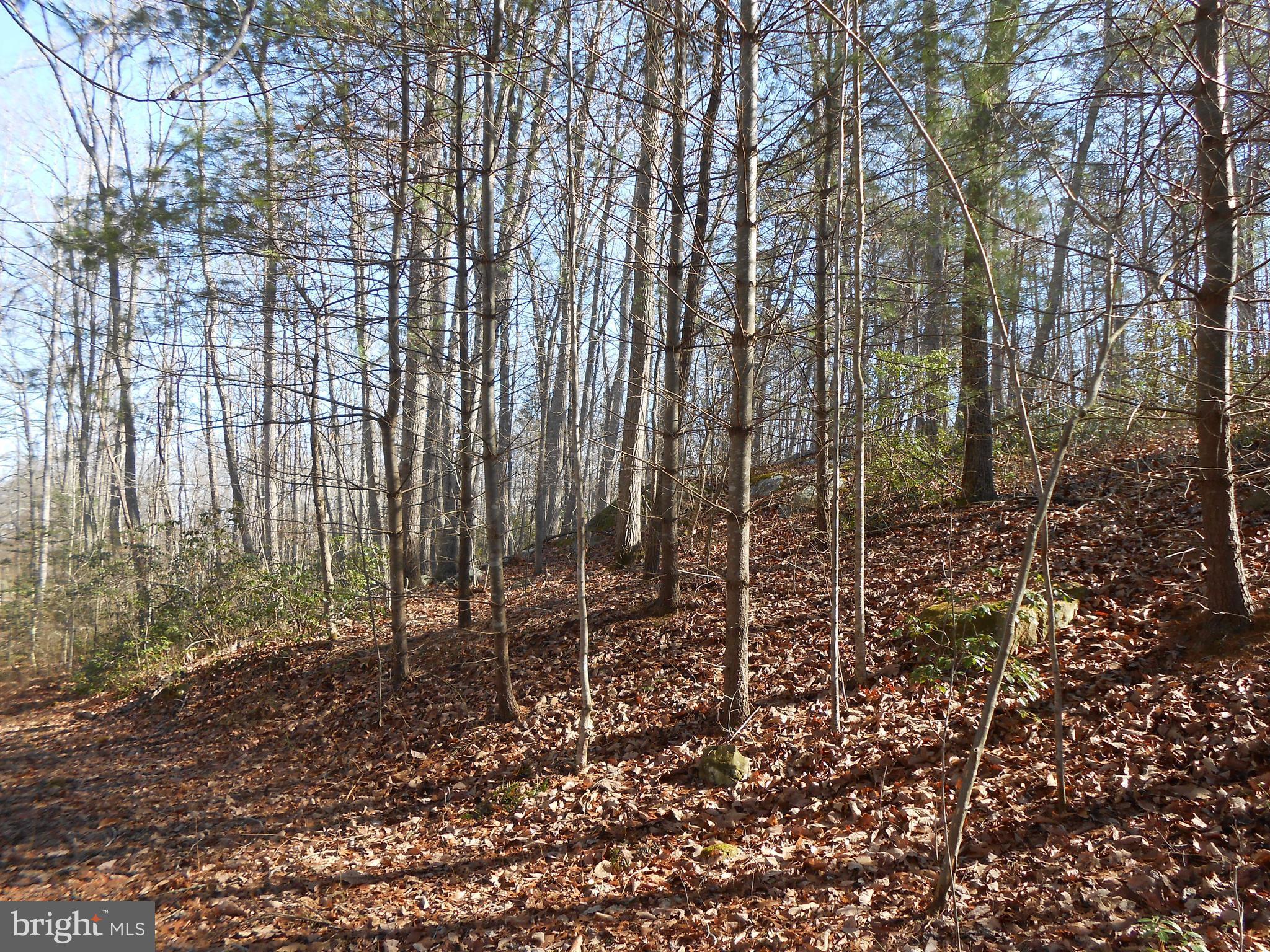 The Mountain Road Culpeper, VA 22701 - Photo 15 of 17 View