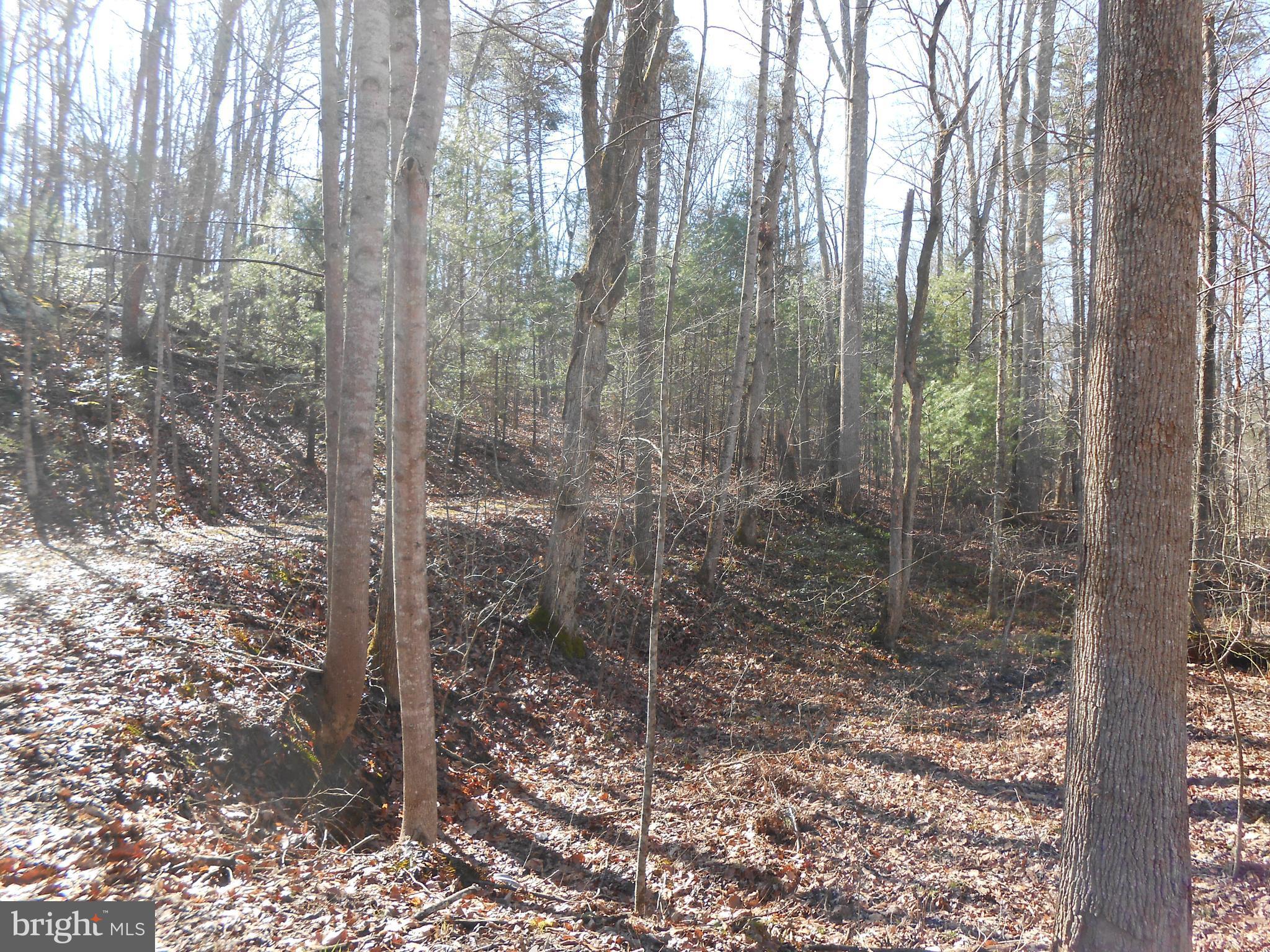 The Mountain Road Culpeper, VA 22701 - Photo 16 of 17 view