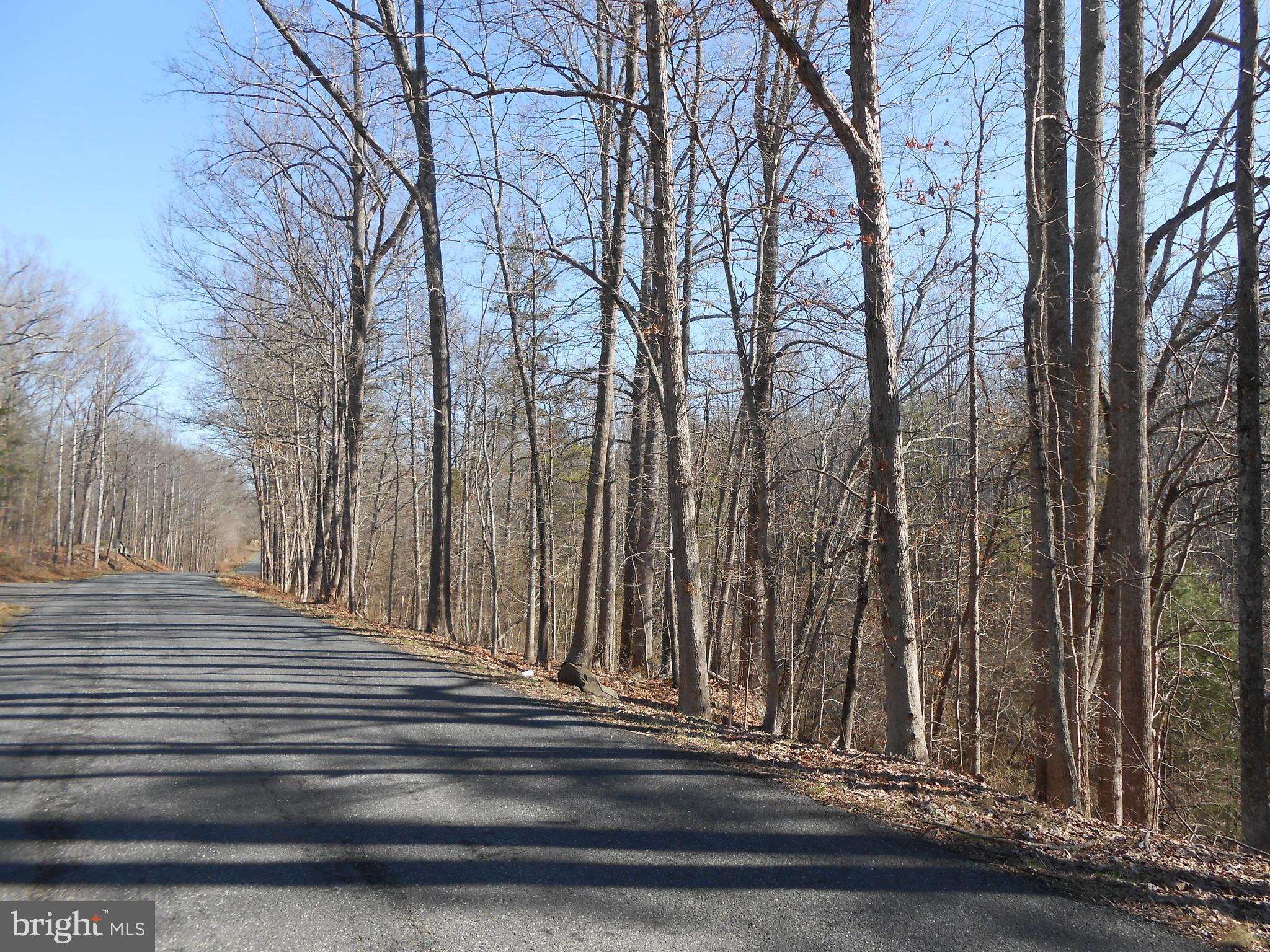 The Mountain Road Culpeper, VA 22701 - Photo 17 of 17 Paved Road
