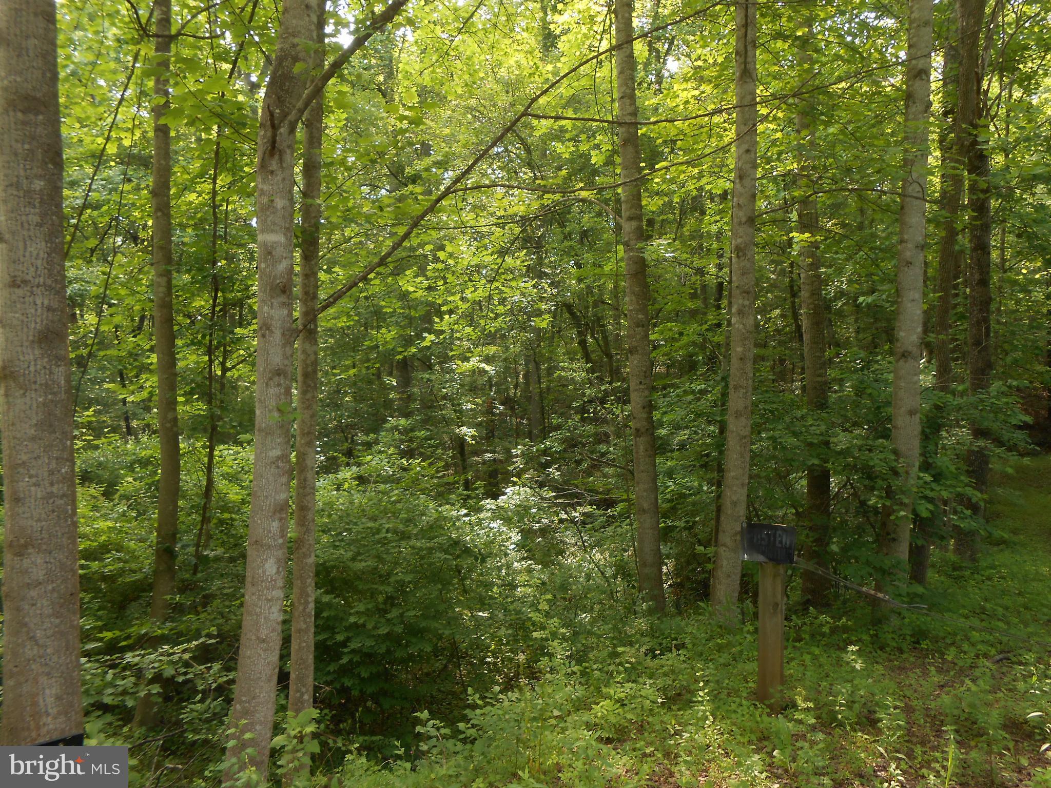 The Mountain Road Culpeper, VA 22701 - Photo 3 of 17 View