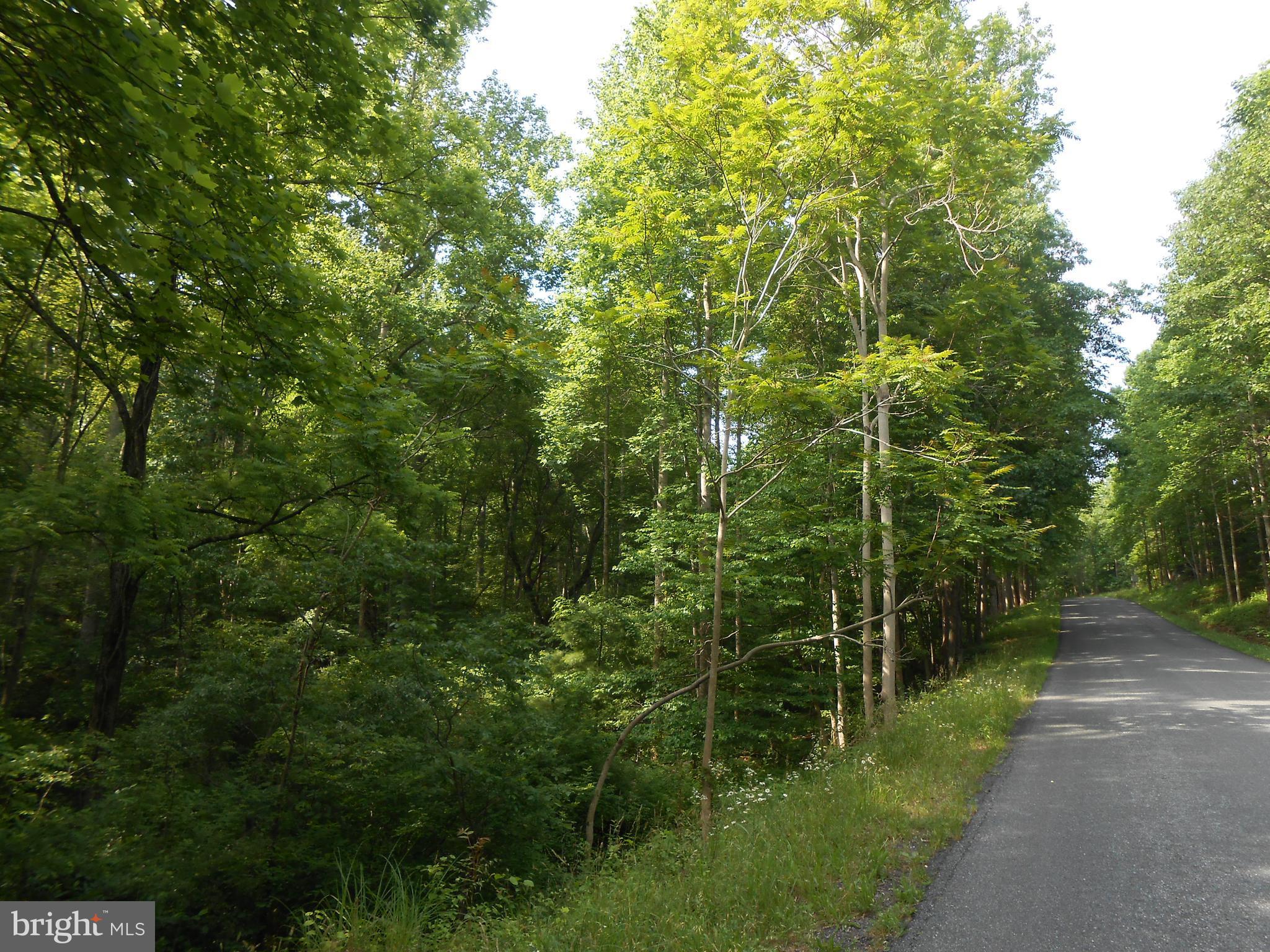 The Mountain Road Culpeper, VA 22701 - Photo 5 of 17 View