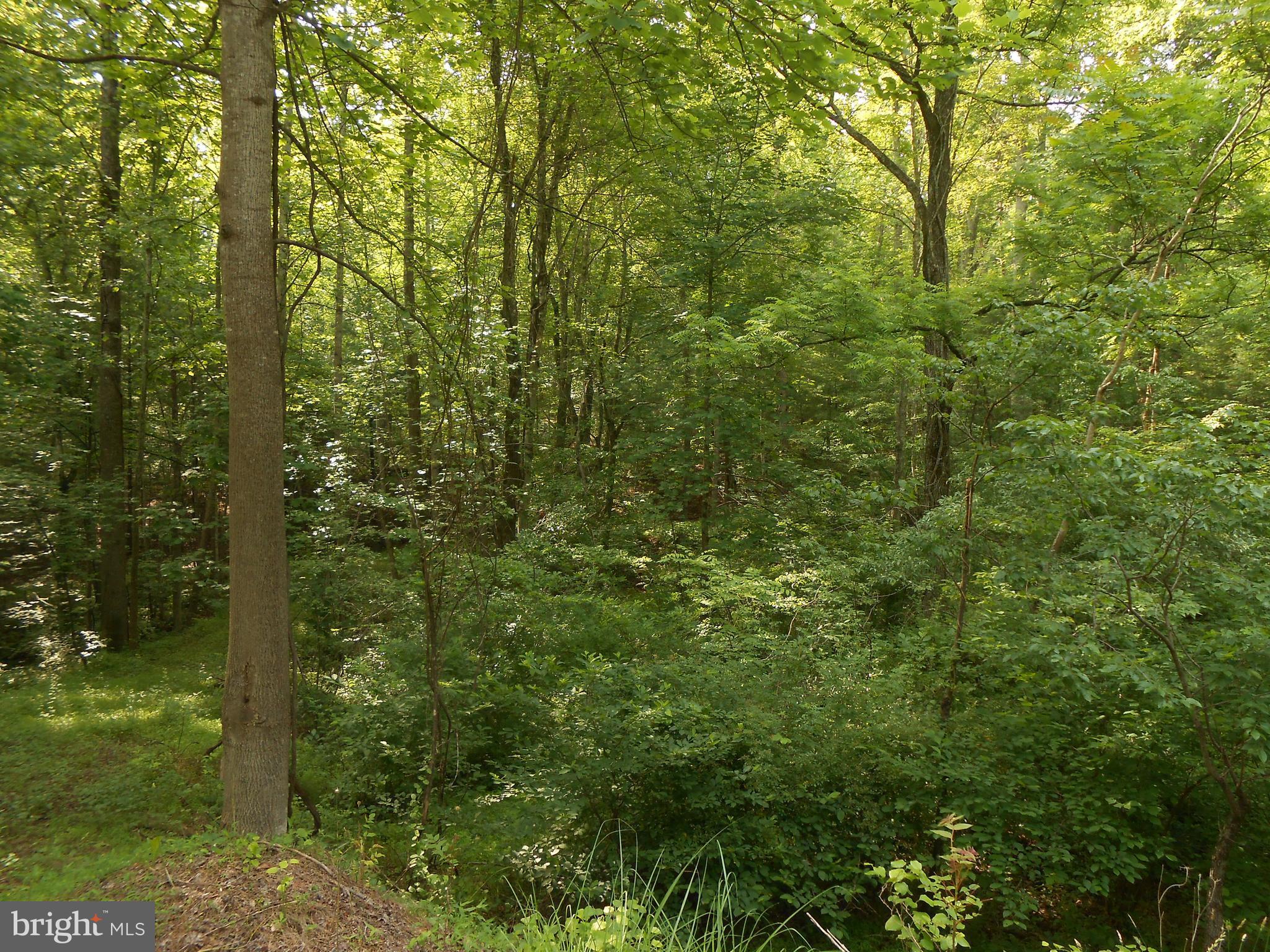 The Mountain Road Culpeper, VA 22701 - Photo 6 of 17 View