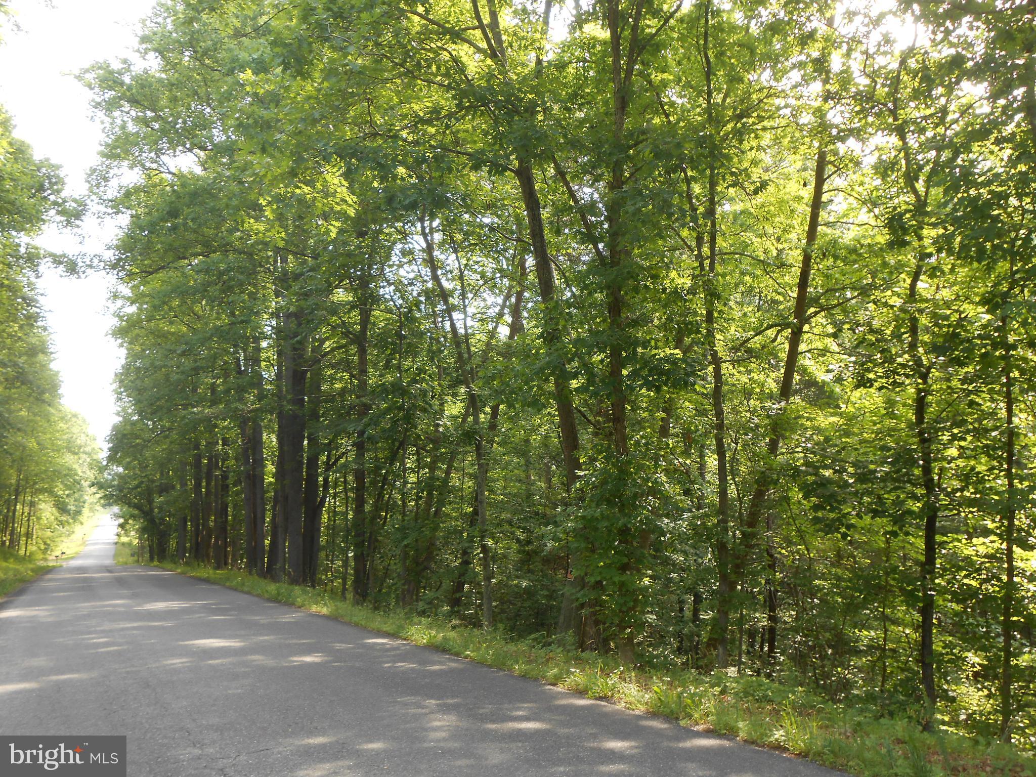 The Mountain Road Culpeper, VA 22701 - Photo 7 of 17 View